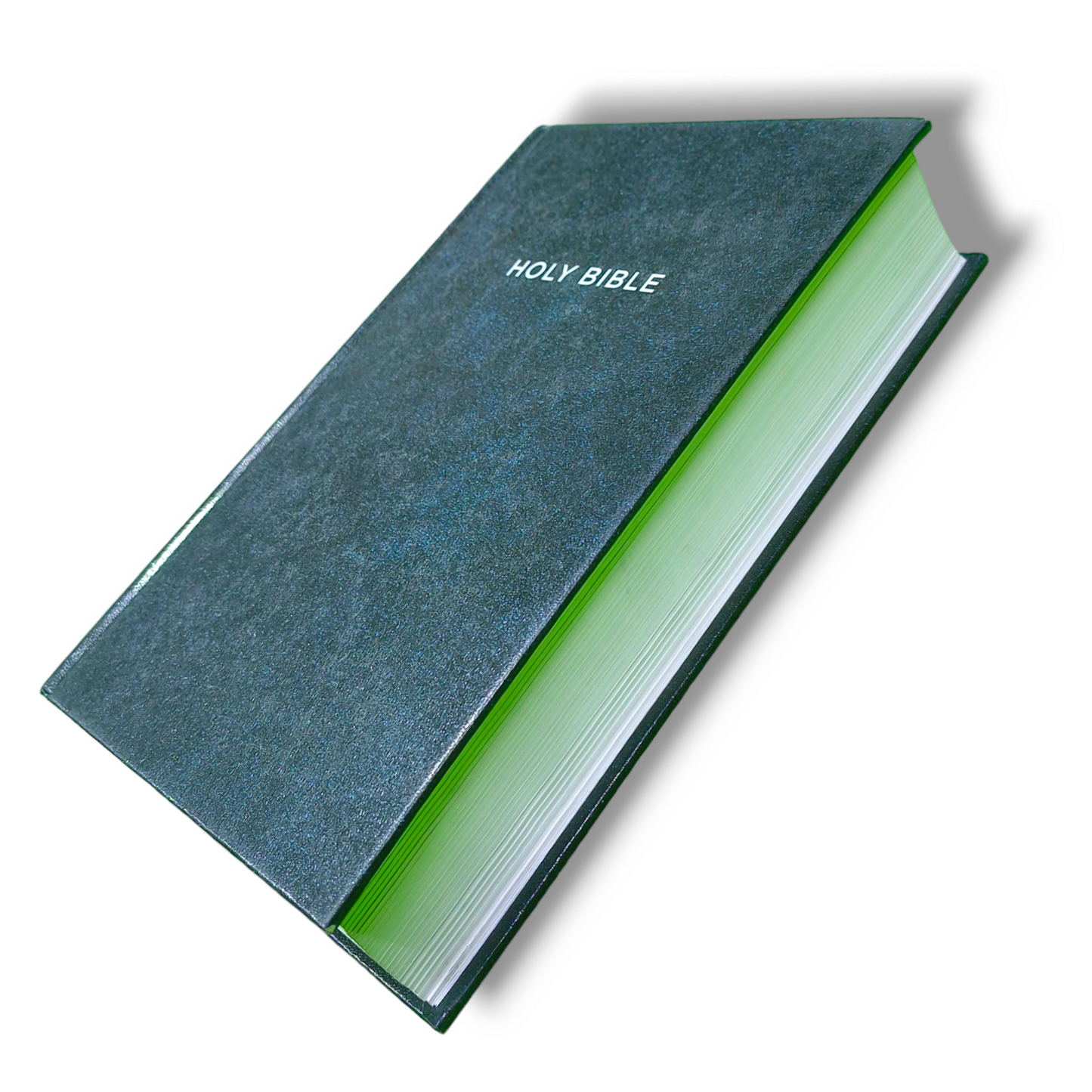 NIV Bible For Men | Hard Bound Cover | New Edition | Medium Size