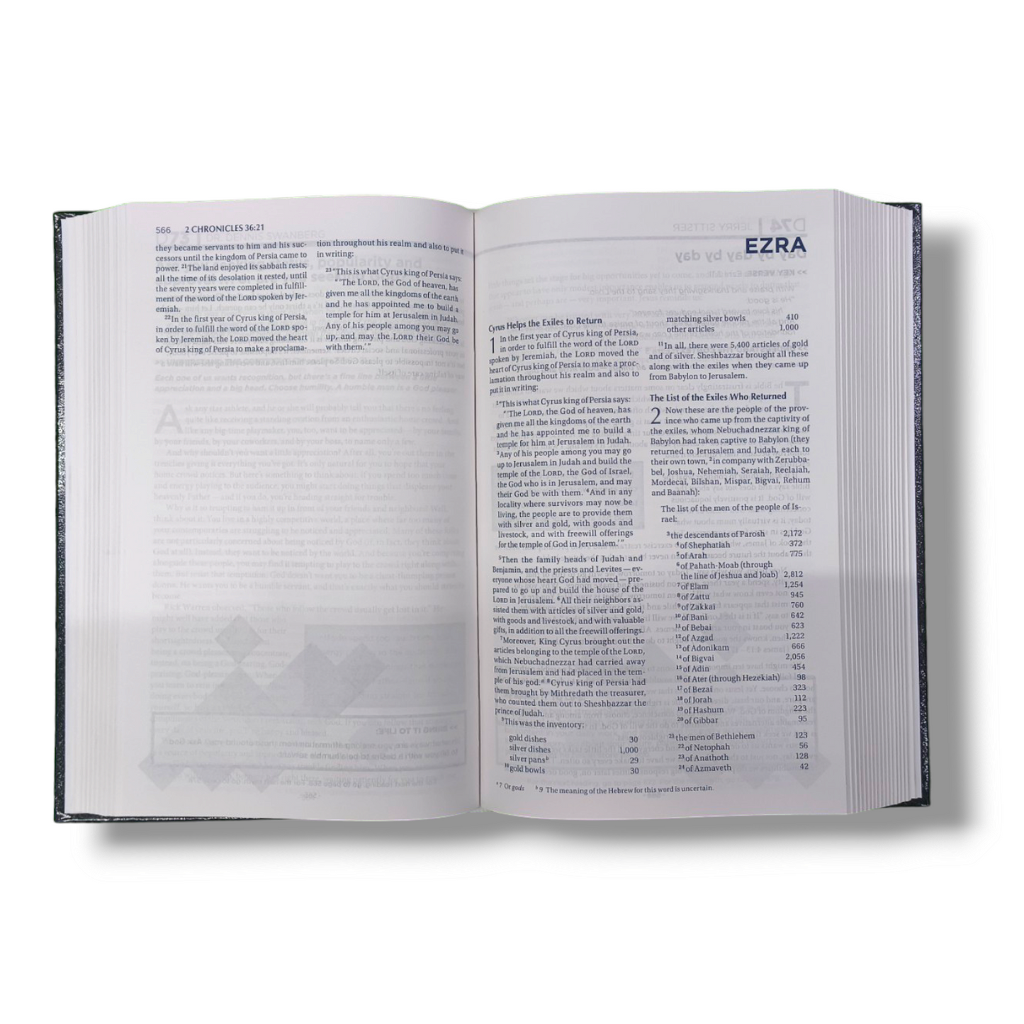 NIV Bible For Men | Hard Bound Cover | New Edition | Medium Size