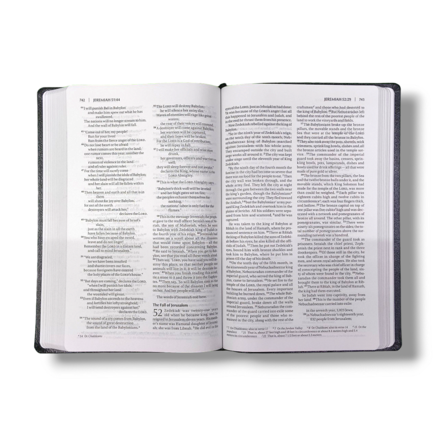 NIV Thinline | Study Bible | Red Letter | New Edition