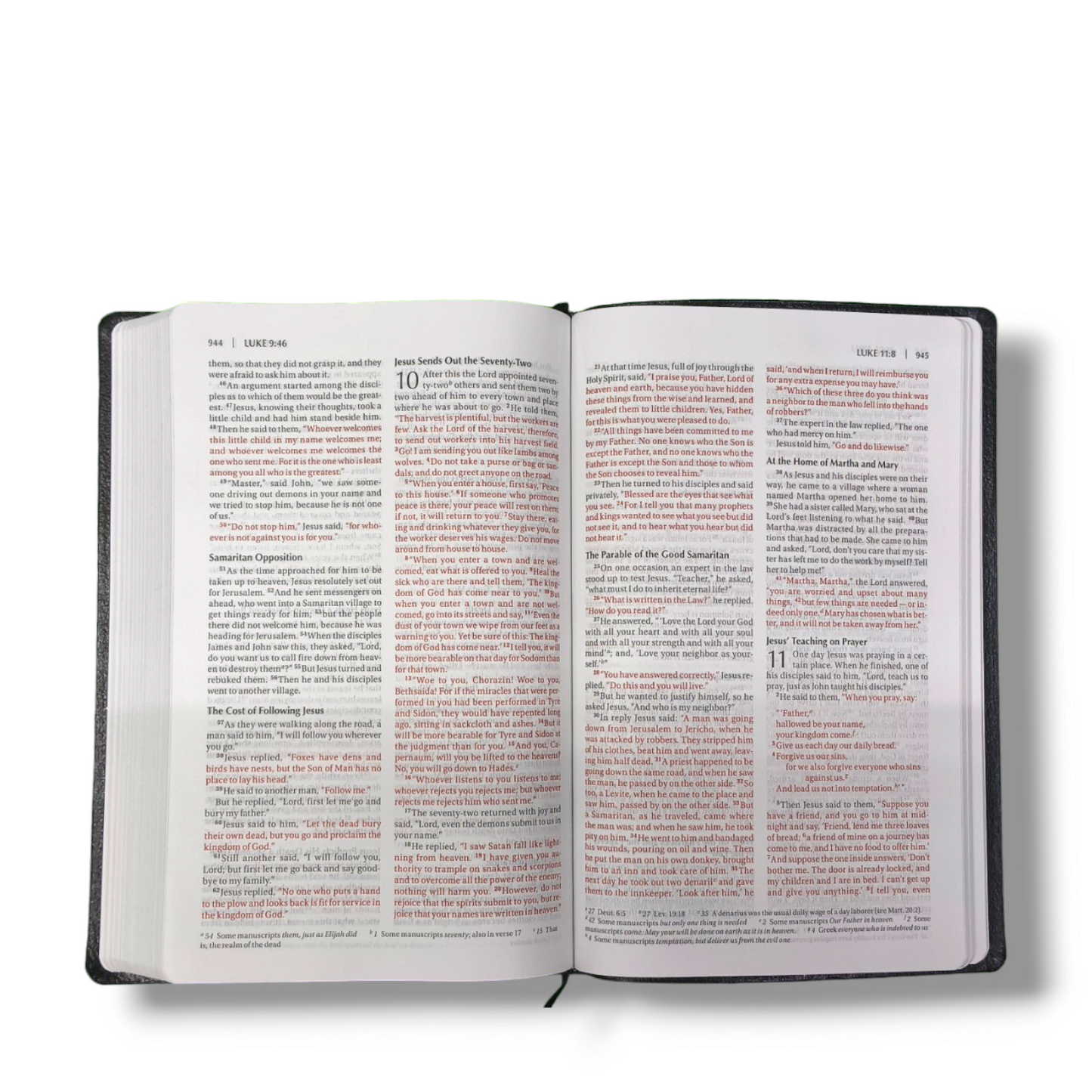 NIV Thinline | Study Bible | Red Letter | New Edition