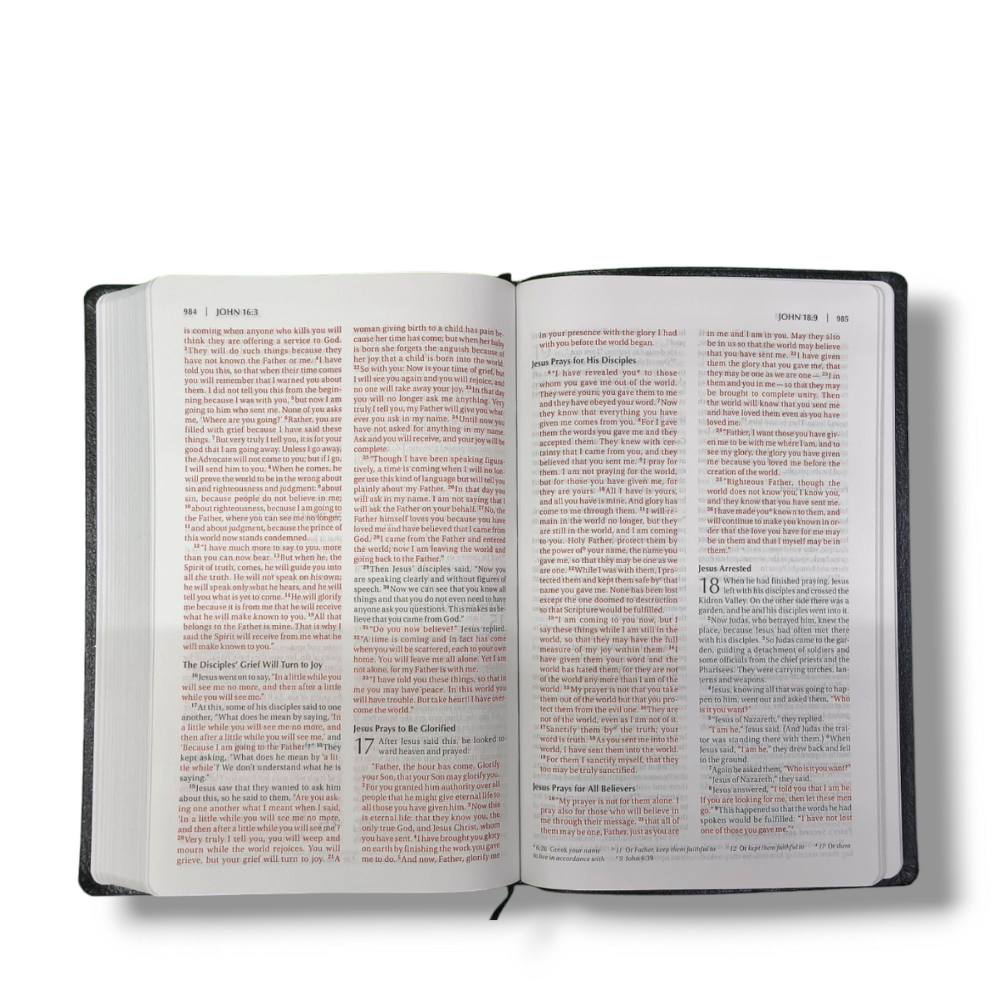 NIV Thinline | Study Bible | Red Letter | New Edition