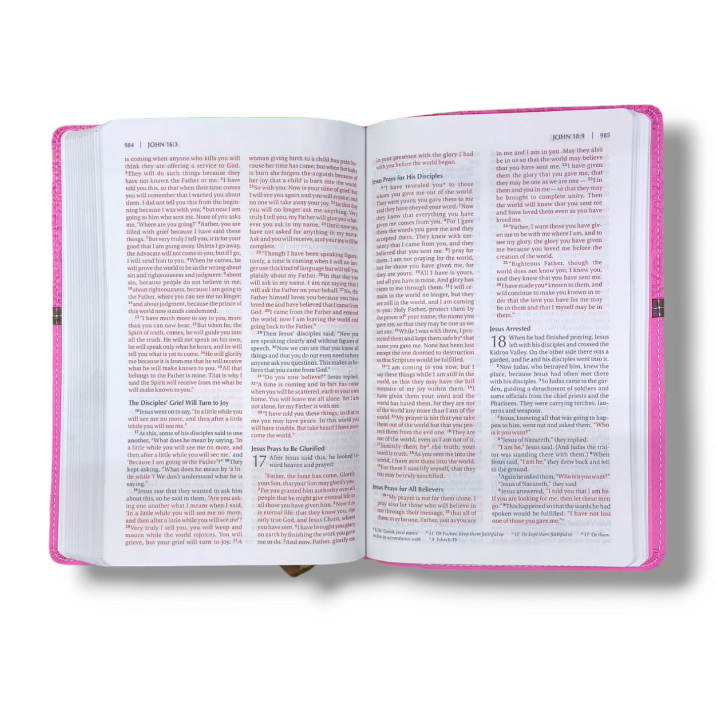 Holy Bible NIV Pink | Plum Italian Duo-Tone | Thinline Lay-Flat Thinline | Study Bible | New Edition