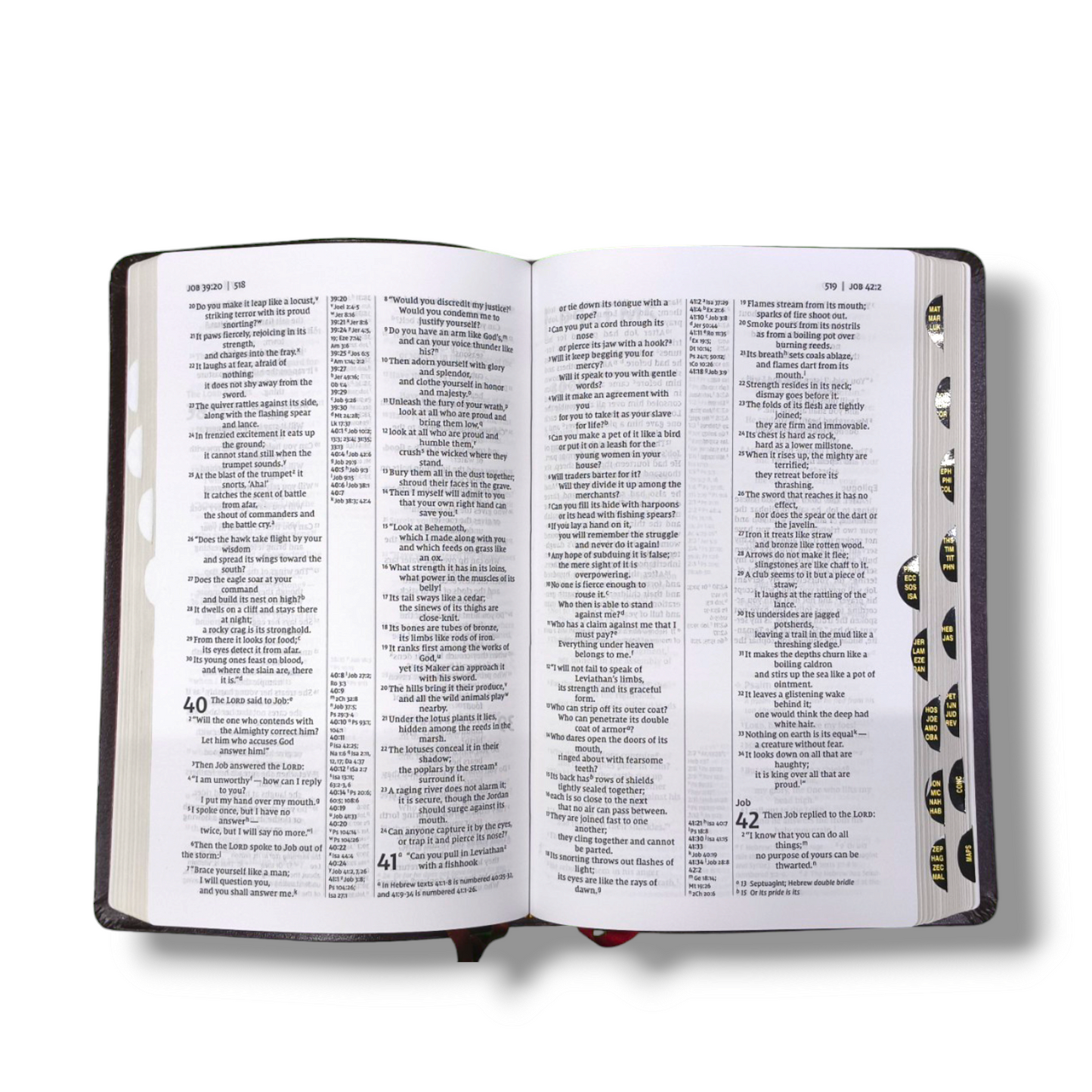 NIV Thin line Reference Bible | With Thumb Index | New Edition | Study Bible