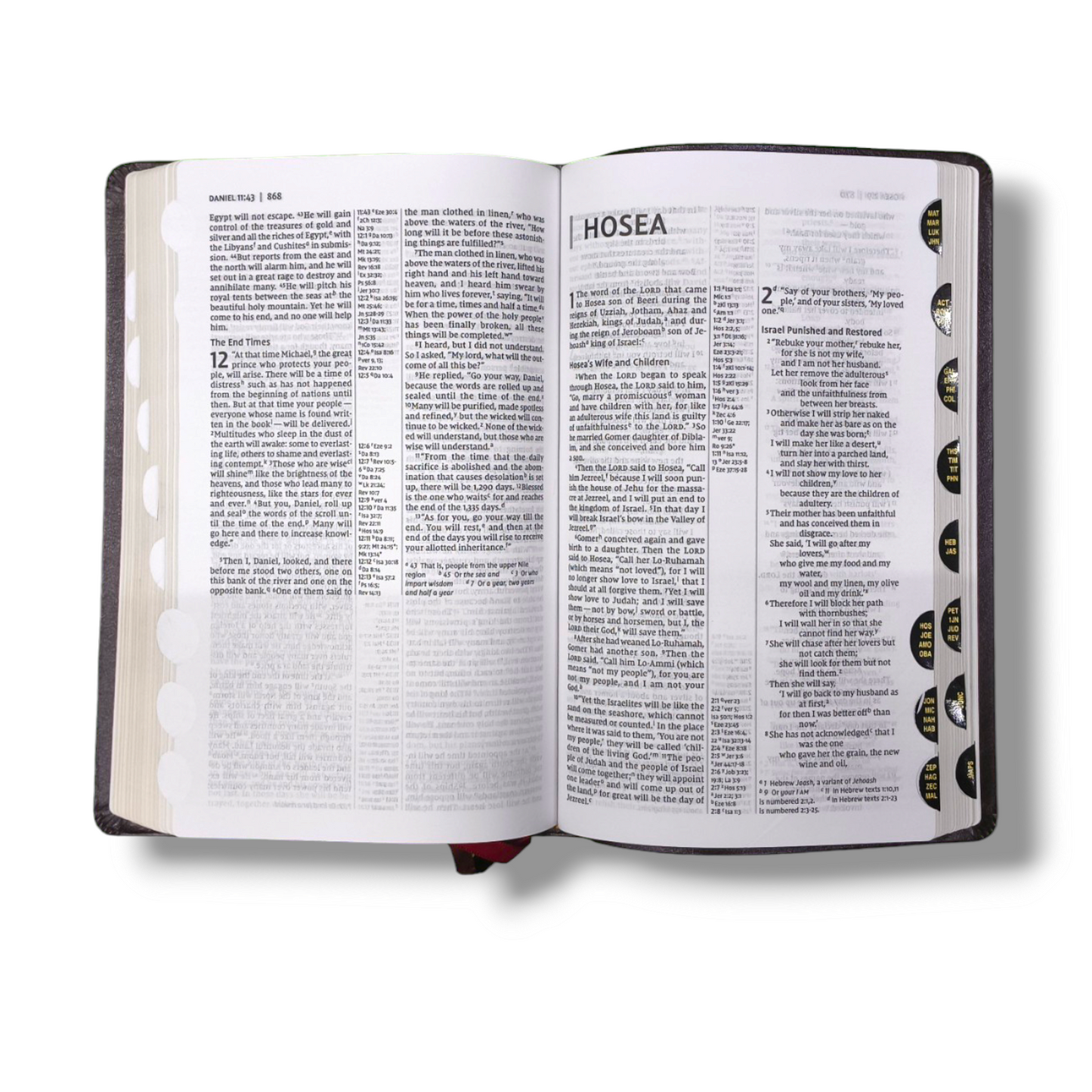 NIV Thin line Reference Bible | With Thumb Index | New Edition | Study Bible