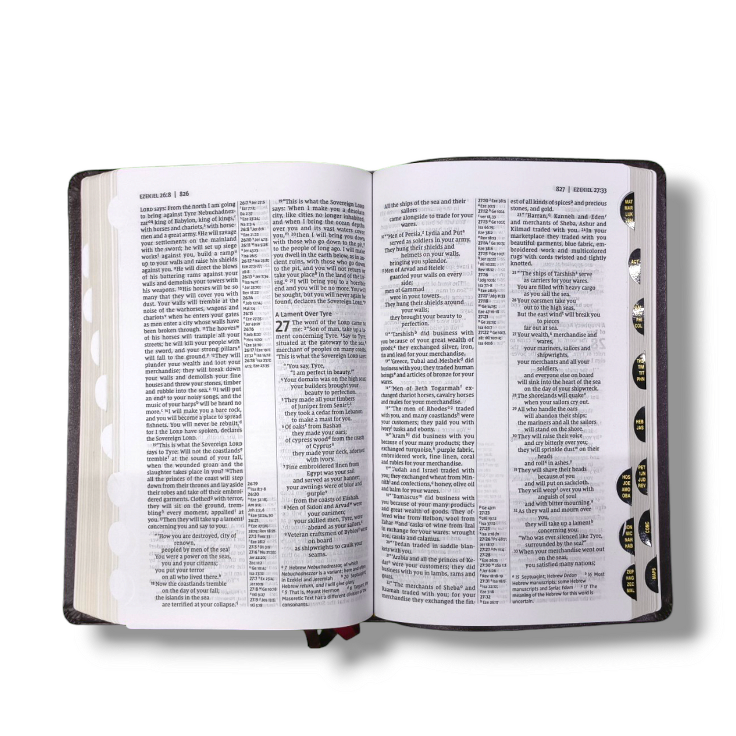 NIV Thin line Reference Bible | With Thumb Index | New Edition | Study Bible