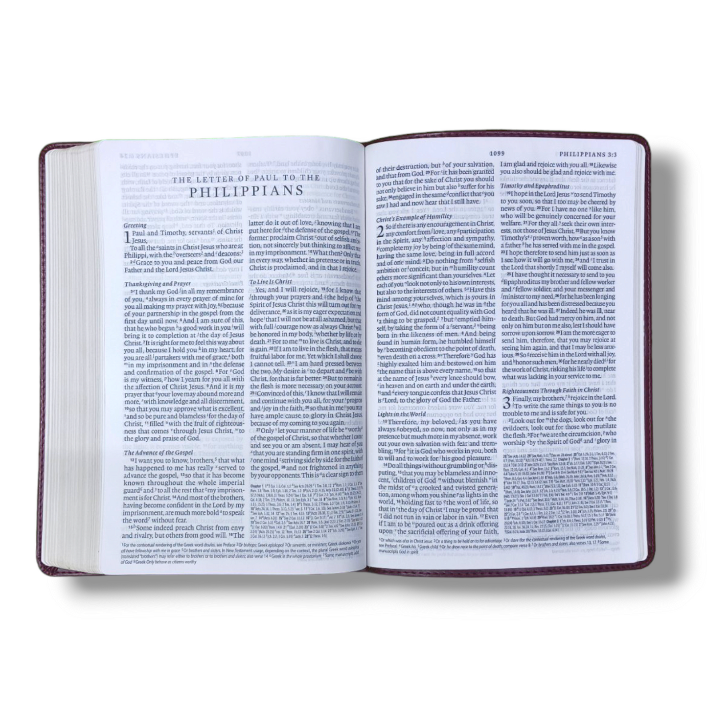 ESV Large Print | Thinline Reference Bible | (Tru Tone, Bergundy, Celtic Cross Design ) | New Edition