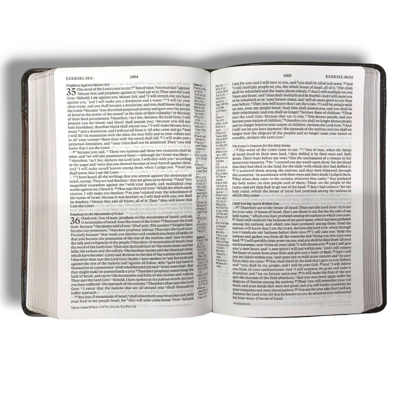 Personal Reference Bible | Study Bible | Brown Attractive Design | New Edition