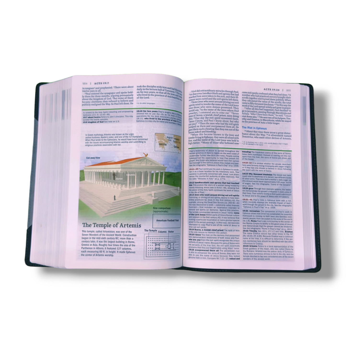 NIV Faith life Illustrated Study Bible | Personal Reference | With Related Pictures | Hard Bound Cover Edition | New Edition