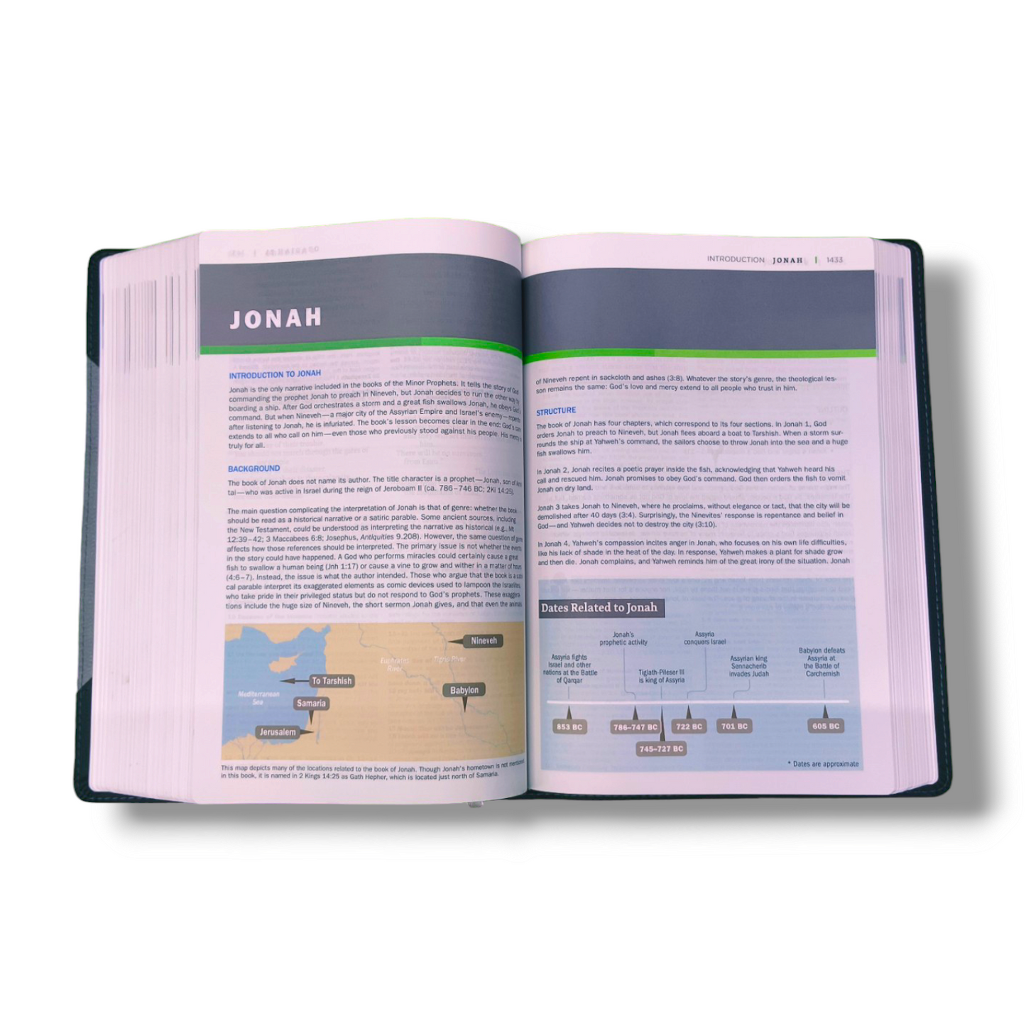 NIV Faith life Illustrated Study Bible | Personal Reference | With Related Pictures | Hard Bound Cover Edition | New Edition