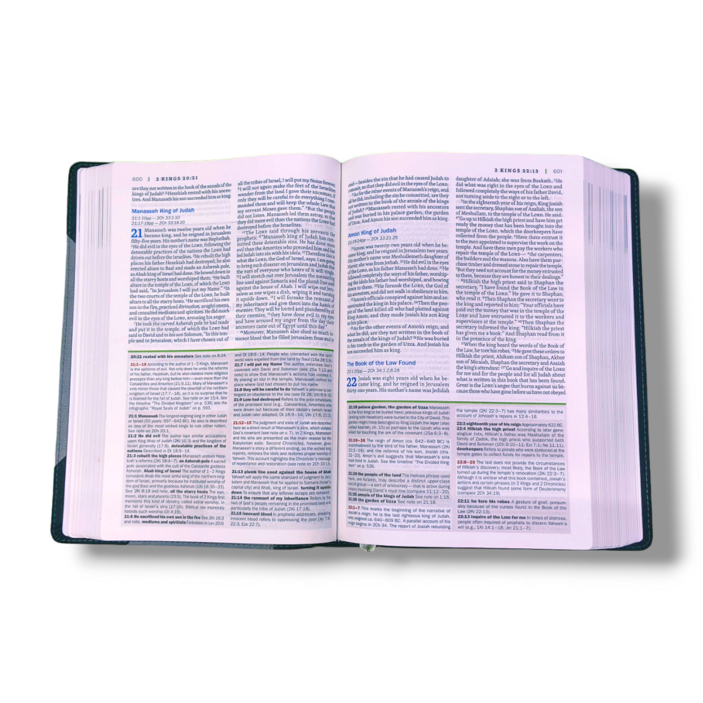 NIV Faith life Illustrated Study Bible | Personal Reference | With Related Pictures | Hard Bound Cover Edition | New Edition