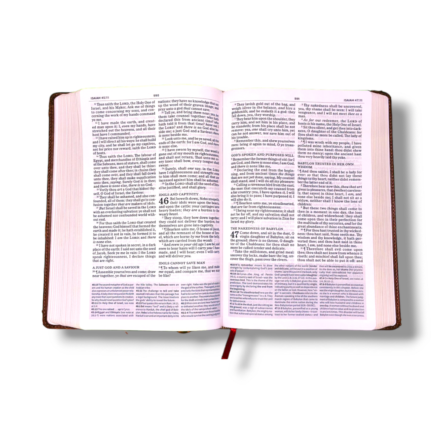 KJV Everyday Study Bible | Imitation Attractive Deign Brown Leather Edition | New Edition