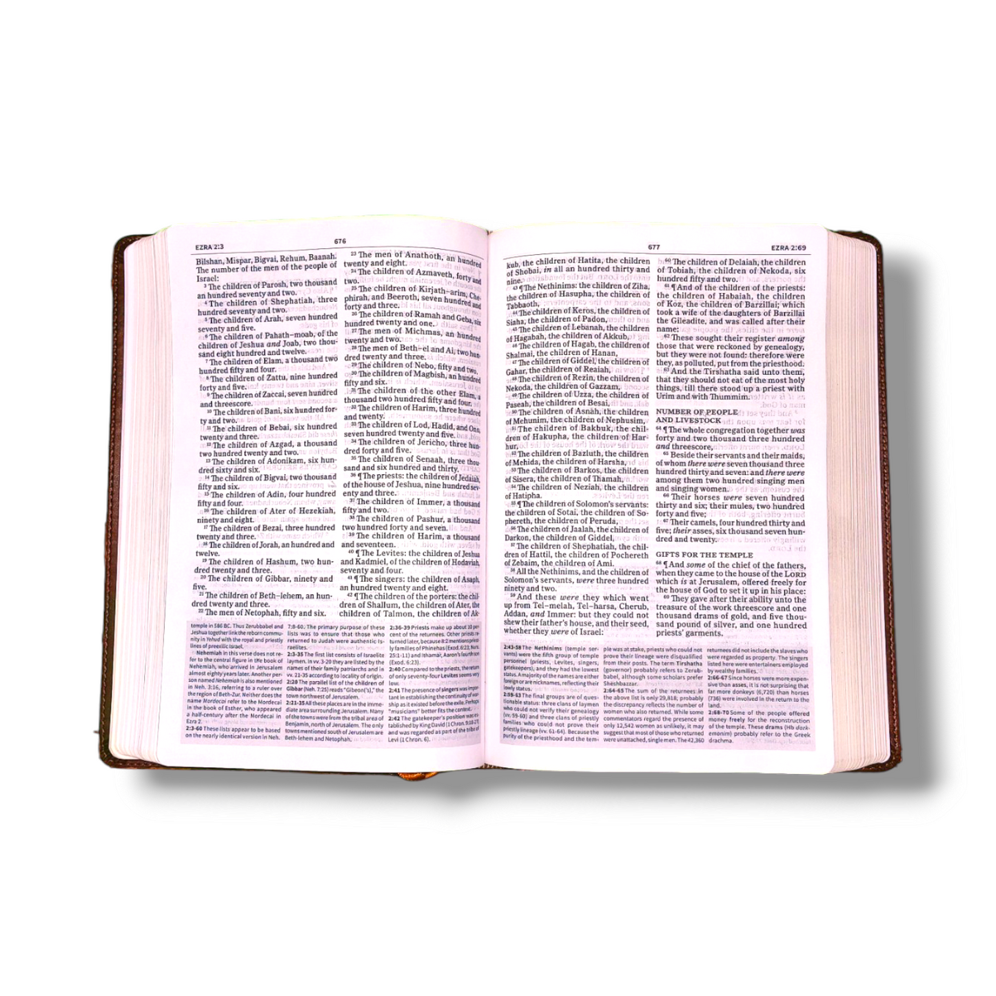KJV Everyday Study Bible | Imitation Attractive Deign Brown Leather Edition | New Edition