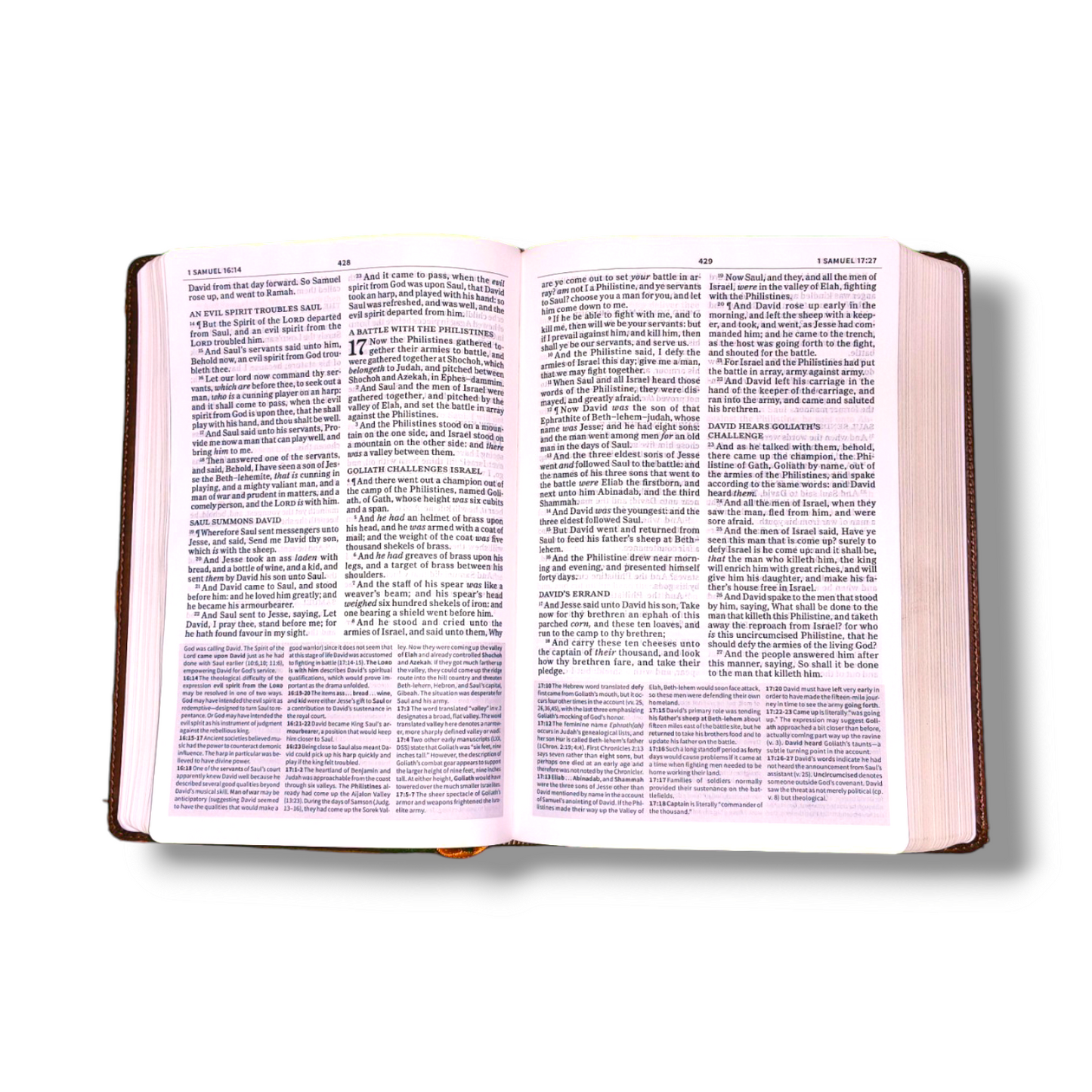 KJV Everyday Study Bible | Imitation Attractive Deign Brown Leather Edition | New Edition