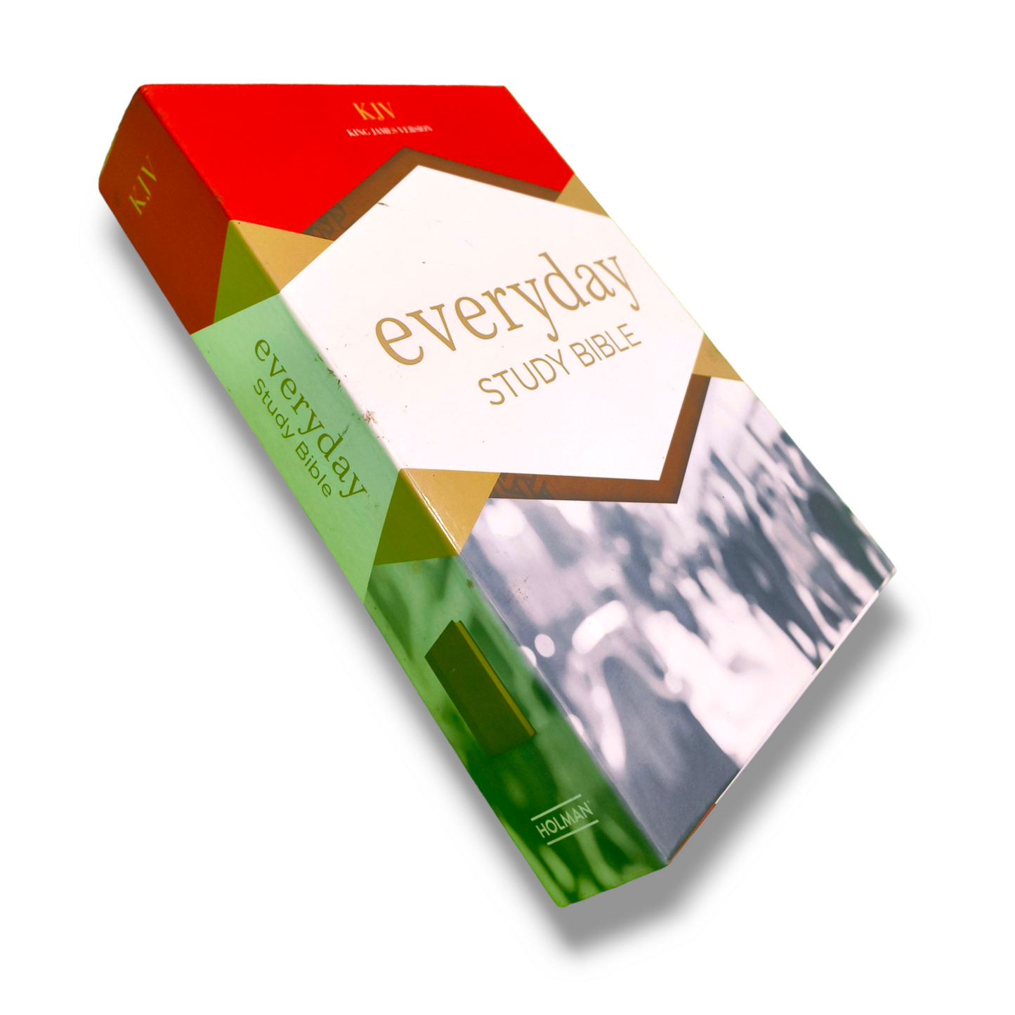 KJV Everyday Study Bible | Imitation Attractive Deign Brown Leather Edition | New Edition
