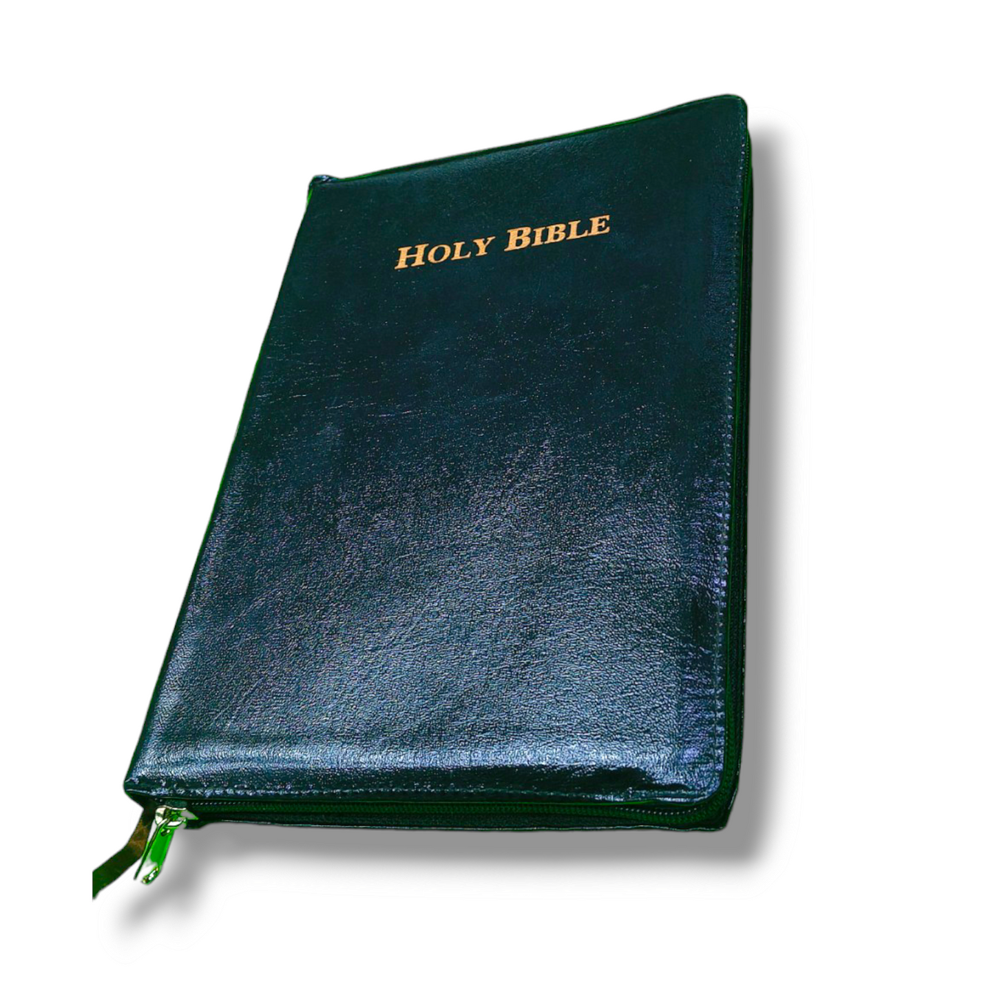 KJV Holman Rainbow Study Bible | Black Leather Touch | With Zip Edition | New Edition