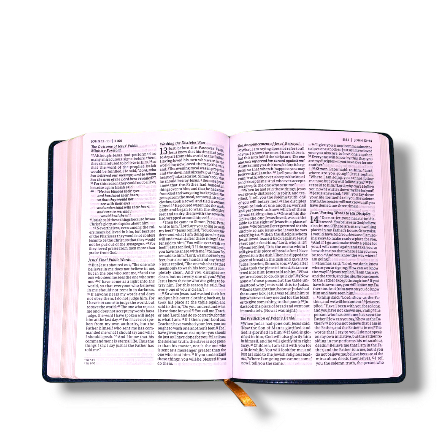 NET Bible Thinline | Art Edition | Large Print | Leathersoft Blue Color Attractive Design | Comfort Print: Holy Bible | Study Bible