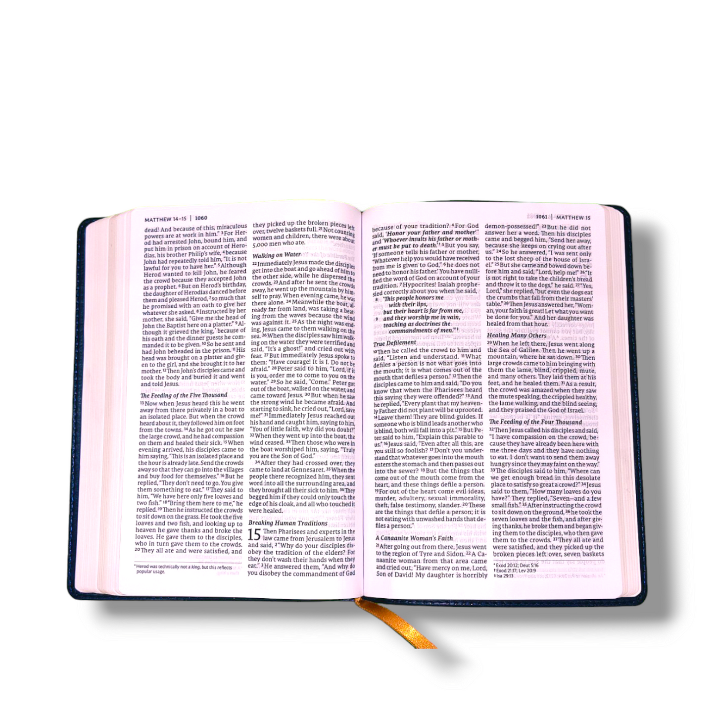 NET Bible Thinline | Art Edition | Large Print | Leathersoft Blue Color Attractive Design | Comfort Print: Holy Bible | Study Bible