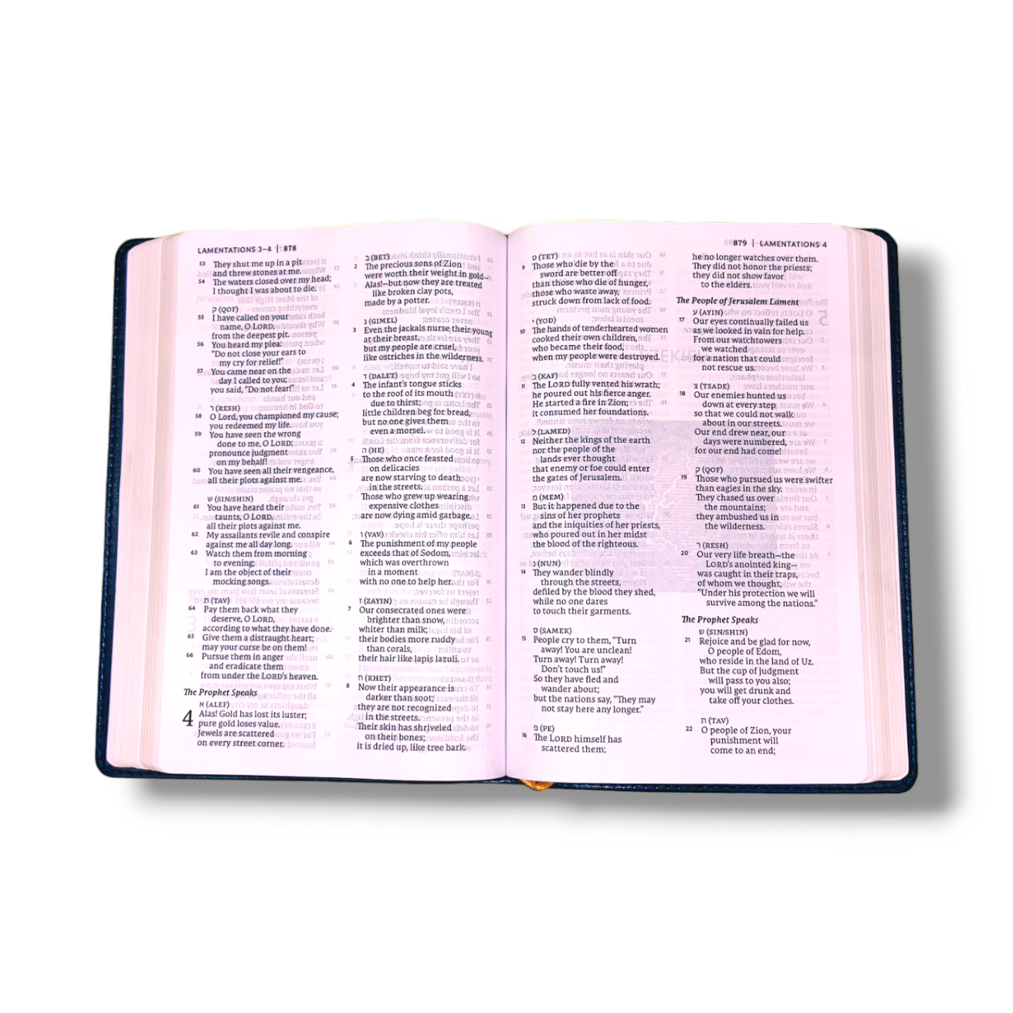 NET Bible Thinline | Art Edition | Large Print | Leathersoft Blue Color Attractive Design | Comfort Print: Holy Bible | Study Bible