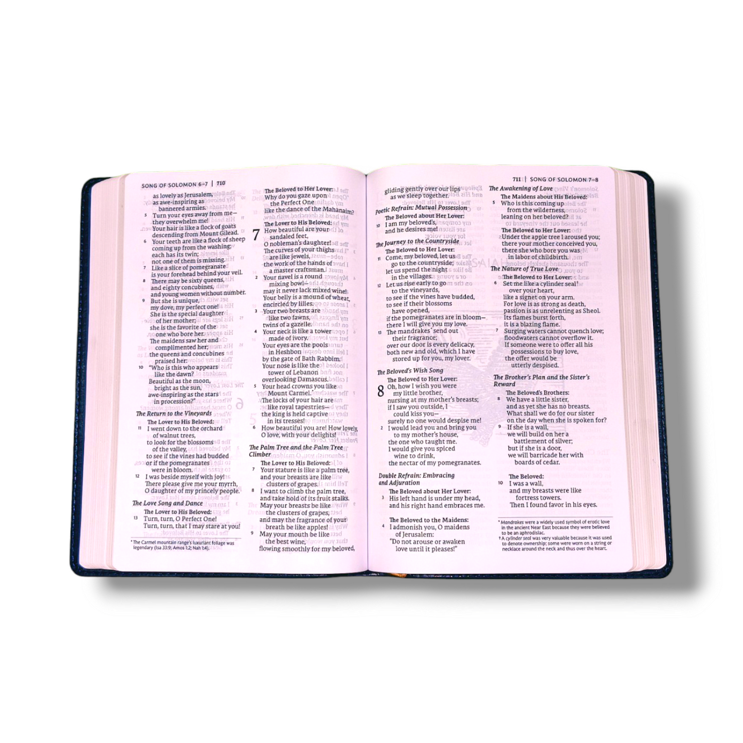 NET Bible Thinline | Art Edition | Large Print | Leathersoft Blue Color Attractive Design | Comfort Print: Holy Bible | Study Bible