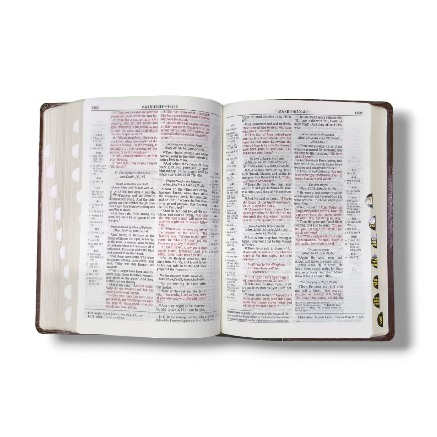 The Scofield Study Bible 3 | Brown Attractive Design | Thumb Indexed | Study Bible | Red Letter Edition | New Edition