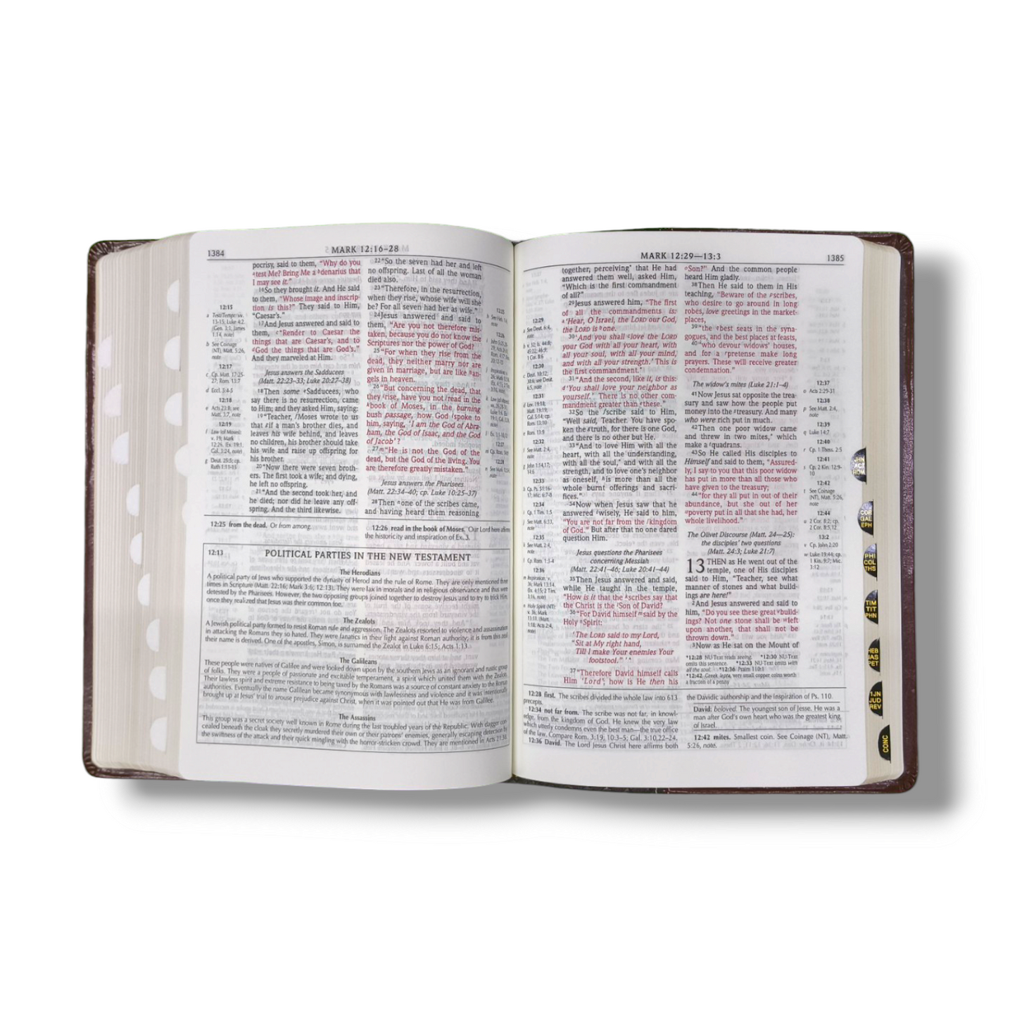 The Scofield Study Bible 3 | Brown Attractive Design | Thumb Indexed | Study Bible | Red Letter Edition | New Edition
