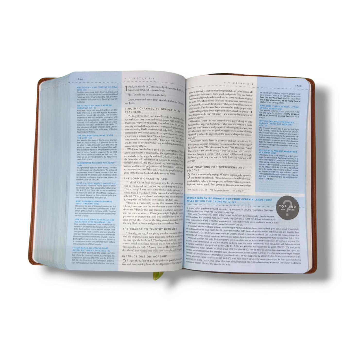 NIV Quest Study Bible | Attractive Leather Soft Cover | Personal Reference | With Related Pictures  | New Edition