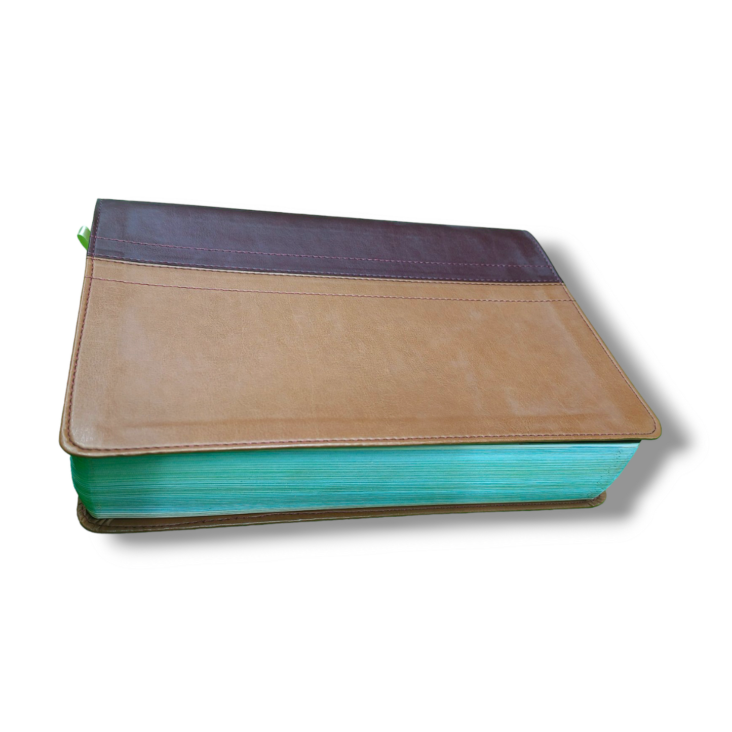 NIV Quest Study Bible | Attractive Leather Soft Cover | Personal Reference | With Related Pictures  | New Edition
