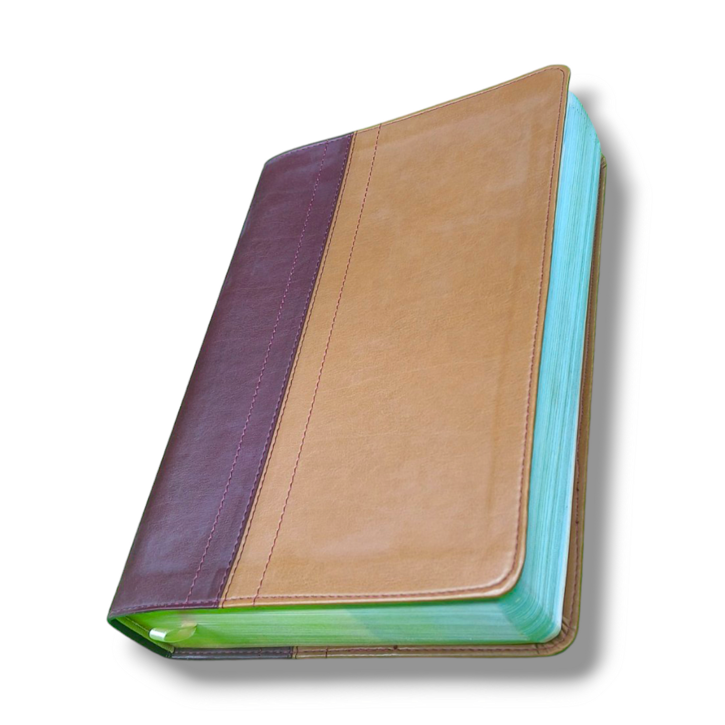 NIV Quest Study Bible | Attractive Leather Soft Cover | Personal Reference | With Related Pictures  | New Edition