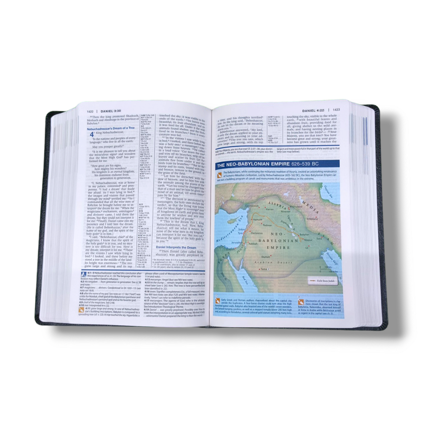 NIV Study Bible | Personal Reference | With Related Pictures | Black Cover Edition | New Edition