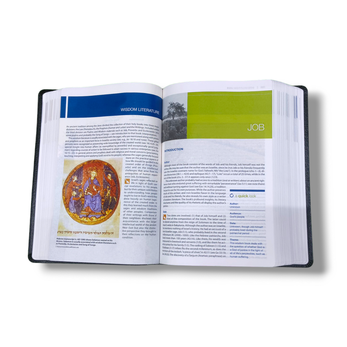 NIV Study Bible | Personal Reference | With Related Pictures | Black Cover Edition | New Edition