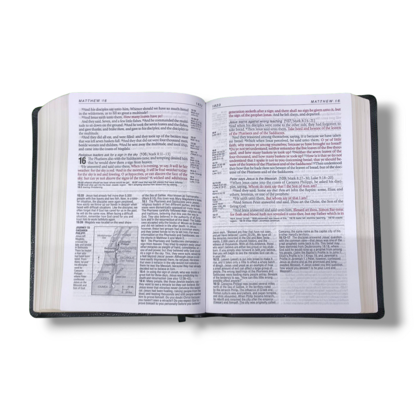 Life Application Study Bible | Large Print | With Red Letter | Leathersoft Attractive Design | Comfort Print: Holy Bible | Study Bible