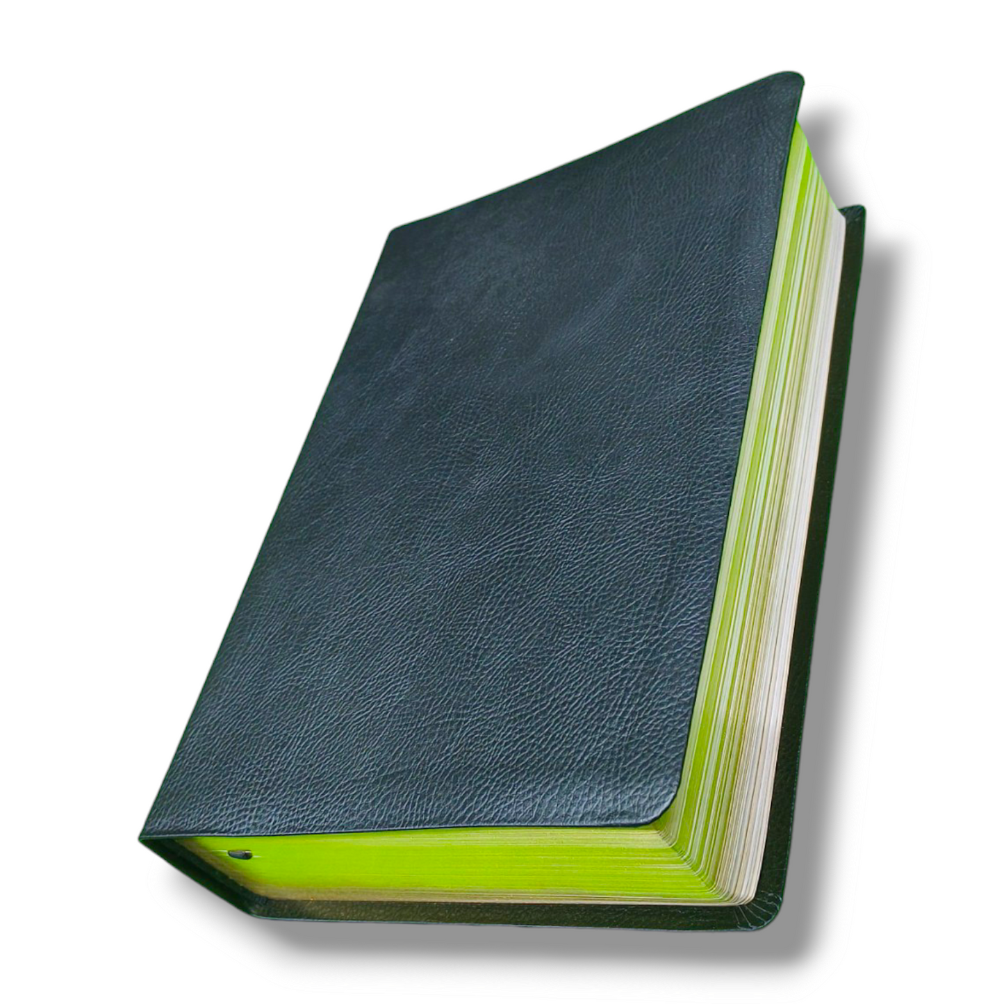 Life Application Study Bible | Large Print | With Red Letter | Leathersoft Attractive Design | Comfort Print: Holy Bible | Study Bible
