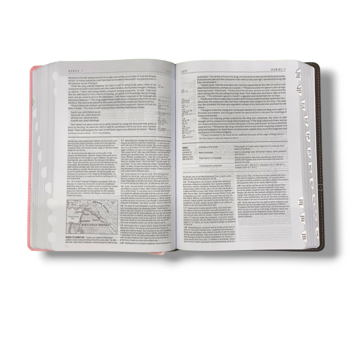 NLT Life Application Study Bible | Attractive Dark Brown/Pink Leather Edition | With Thumb Edition | New Edition