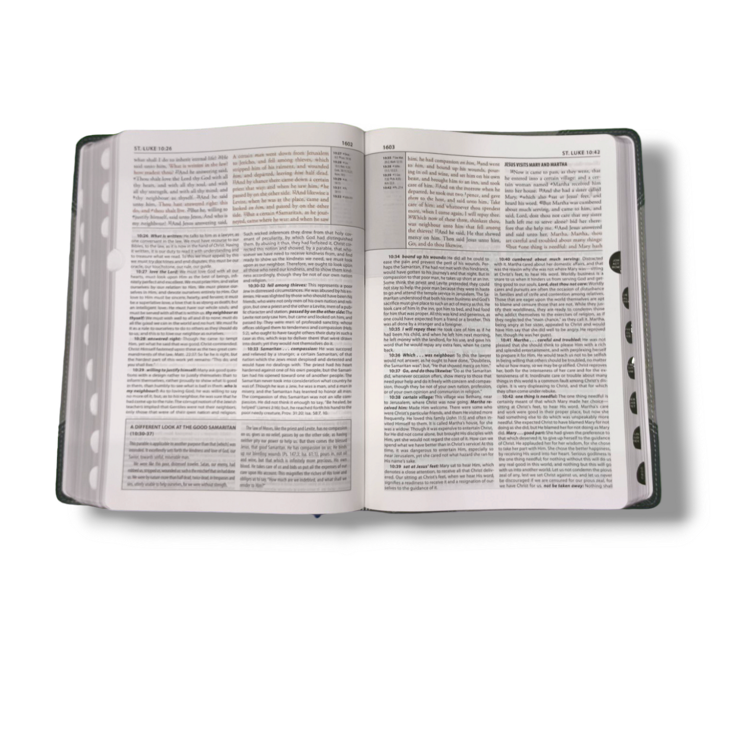The Matthew Henry Study Bible | Hard Bound Edition | With Thumb Index | New Edition