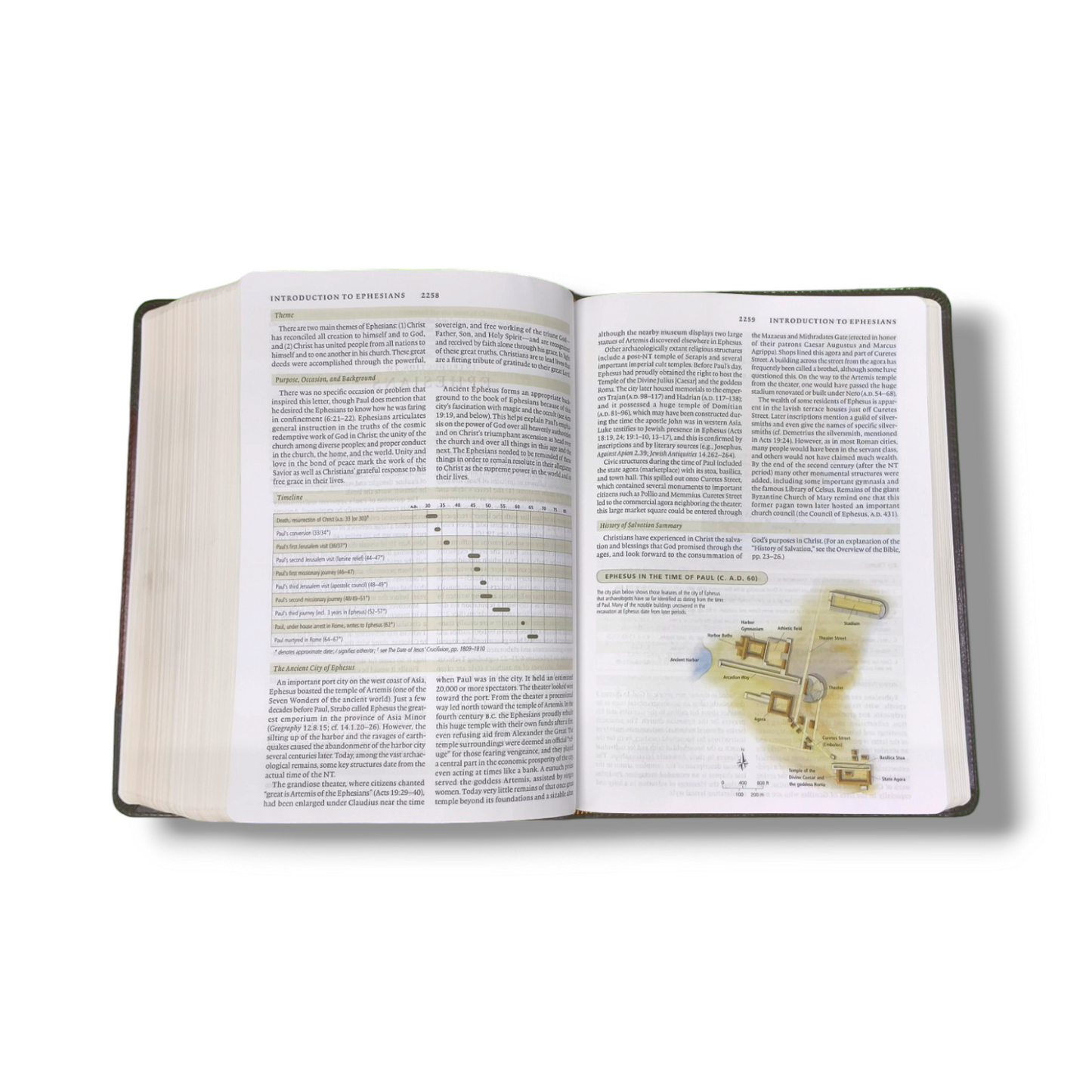 ESV Study Bible | Complete Reference System | Study Bible | Brown Leather Cover Edition | Personal Reference | With Related Pictures | New Edition