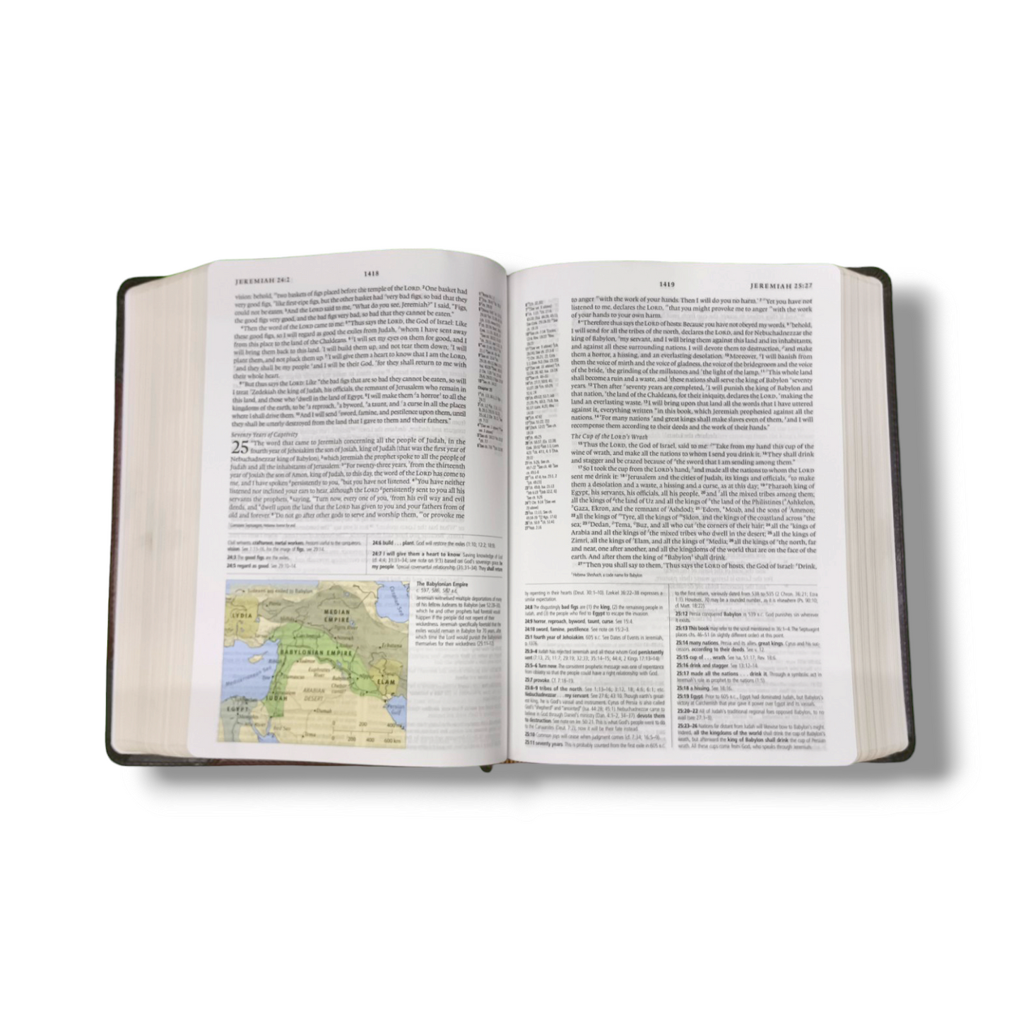 ESV Study Bible | Complete Reference System | Study Bible | Brown Leather Cover Edition | Personal Reference | With Related Pictures | New Edition