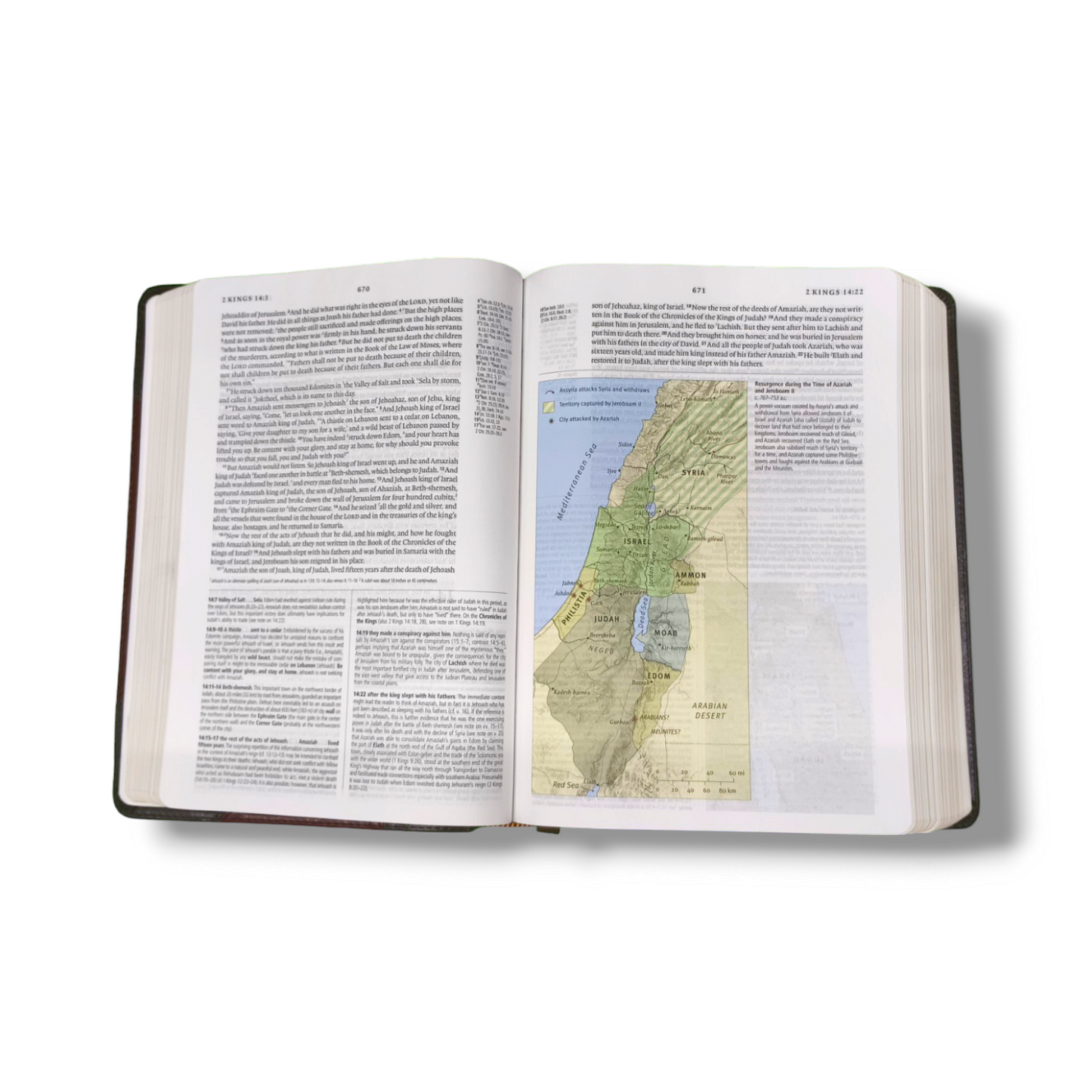 ESV Study Bible | Complete Reference System | Study Bible | Brown Leather Cover Edition | Personal Reference | With Related Pictures | New Edition