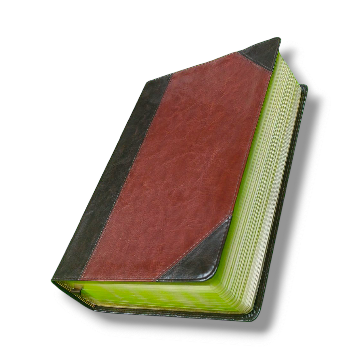 ESV Study Bible | Complete Reference System | Study Bible | Brown Leather Cover Edition | Personal Reference | With Related Pictures | New Edition