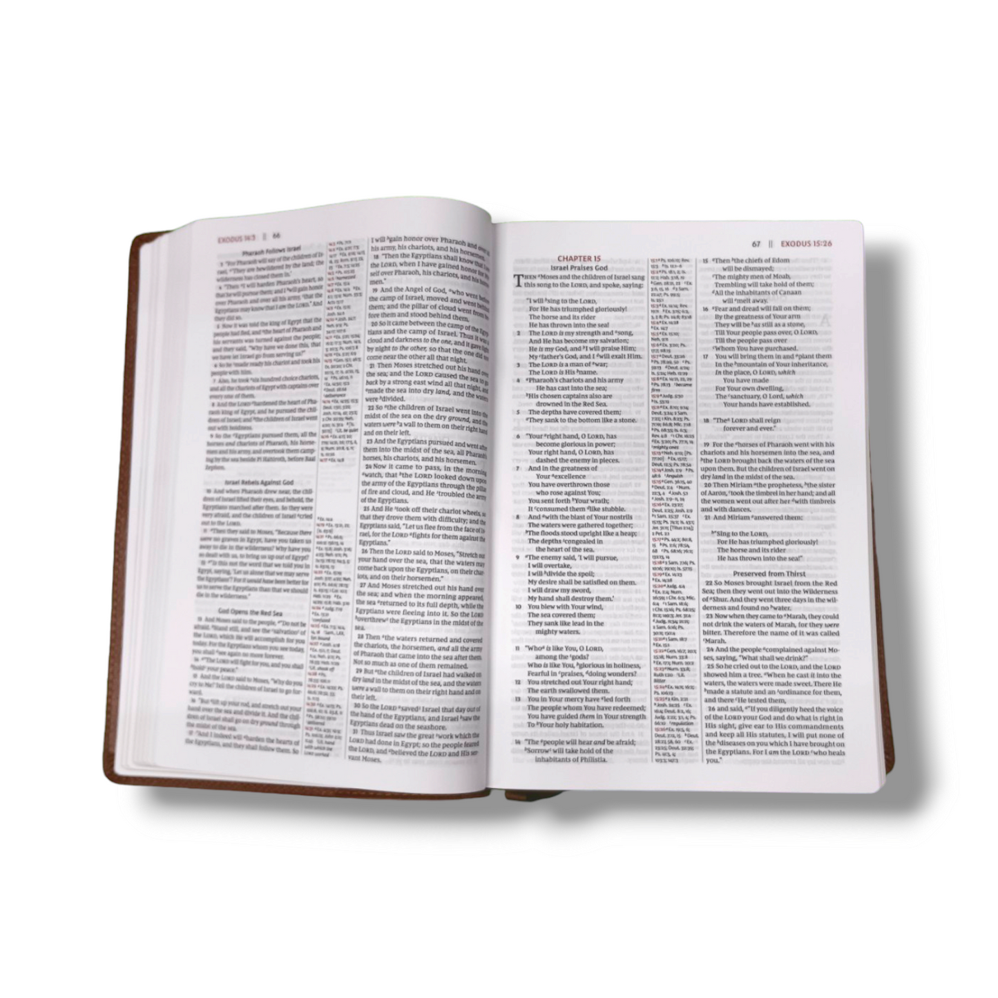 NKJV The Open Bible | Complete Reference System | Study Bible Black Leather Cover Edition | Personal Reference | With Related Pictures | New Edition