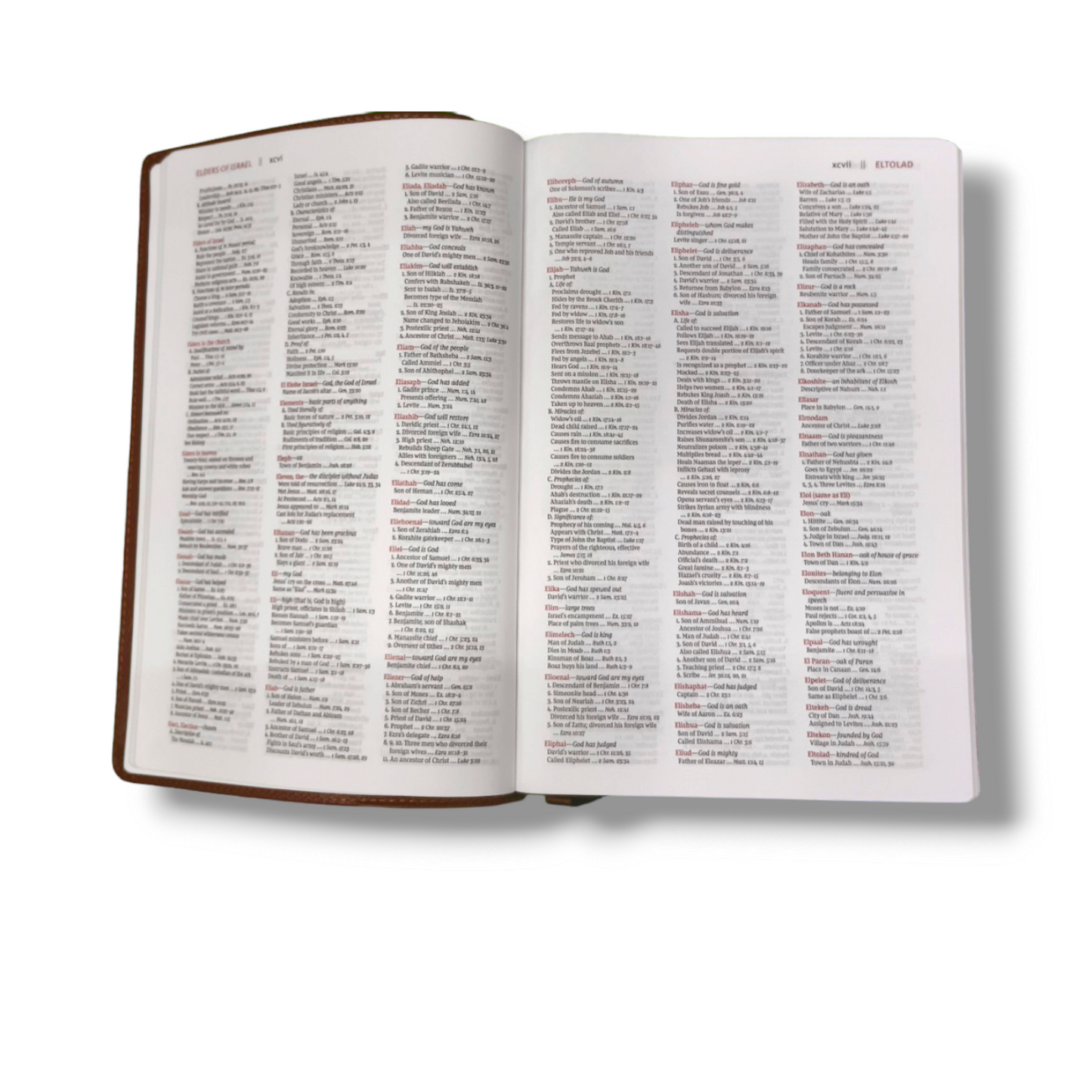 NKJV The Open Bible | Complete Reference System | Study Bible Black Leather Cover Edition | Personal Reference | With Related Pictures | New Edition