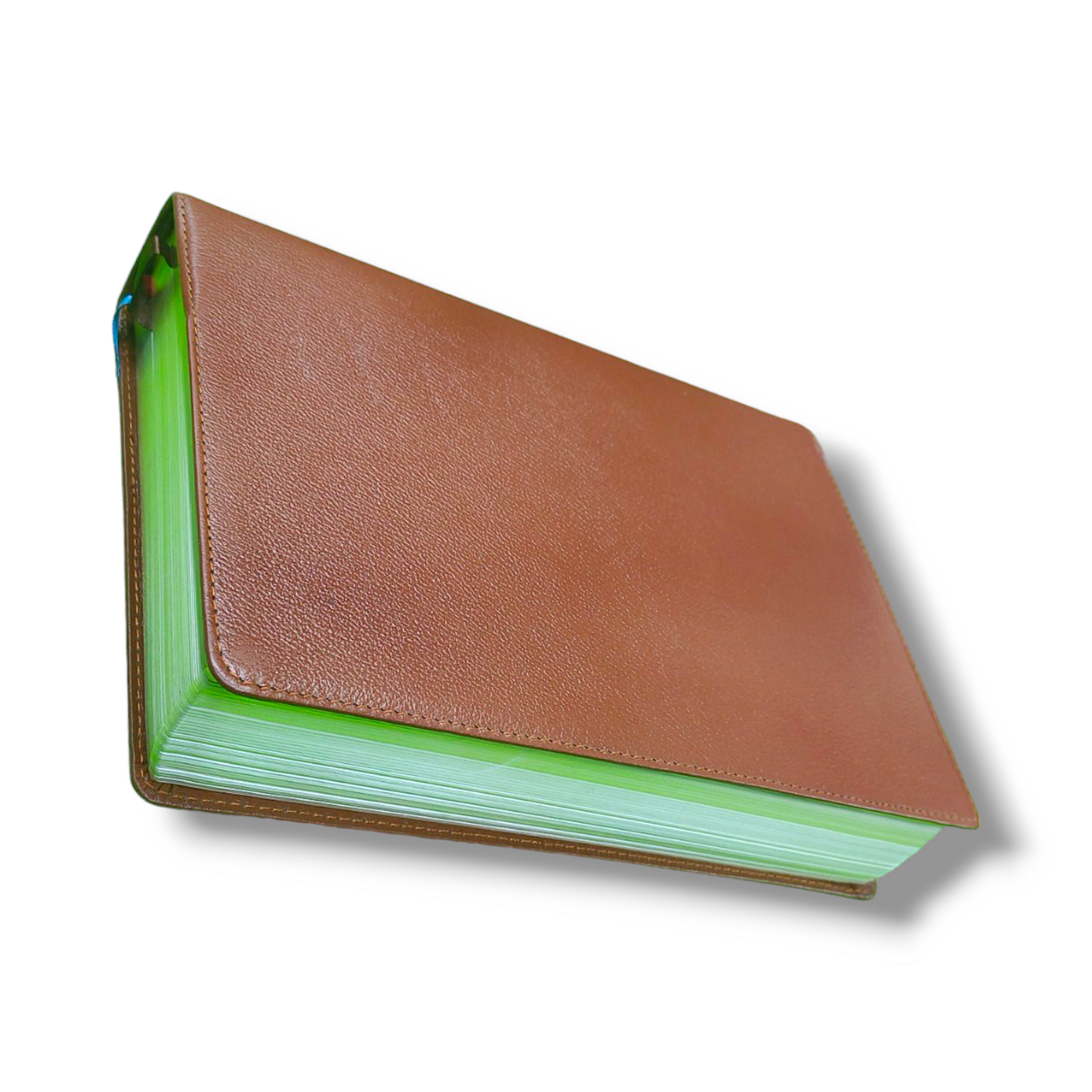 NKJV The Open Bible | Complete Reference System | Study Bible Black Leather Cover Edition | Personal Reference | With Related Pictures | New Edition