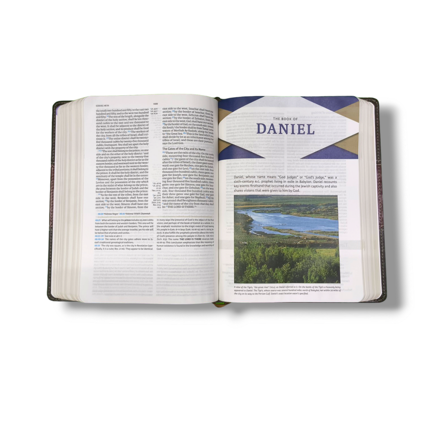 NKJV Holman Study | Mahogany Attractive Brown Leather Touch Edition | With Thumb Index | New Edition