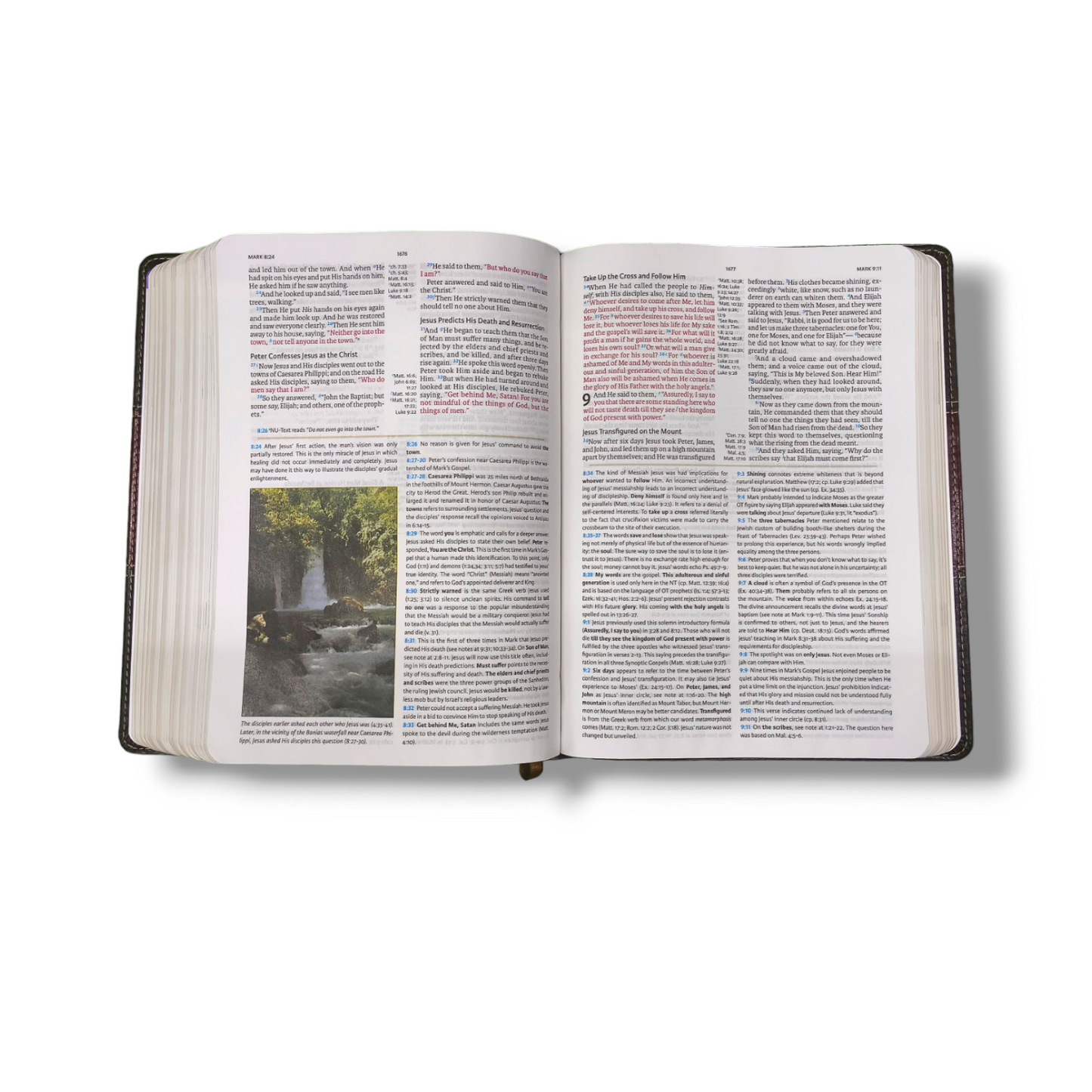 NKJV Holman Study | Mahogany Attractive Brown Leather Touch Edition | With Thumb Index | New Edition