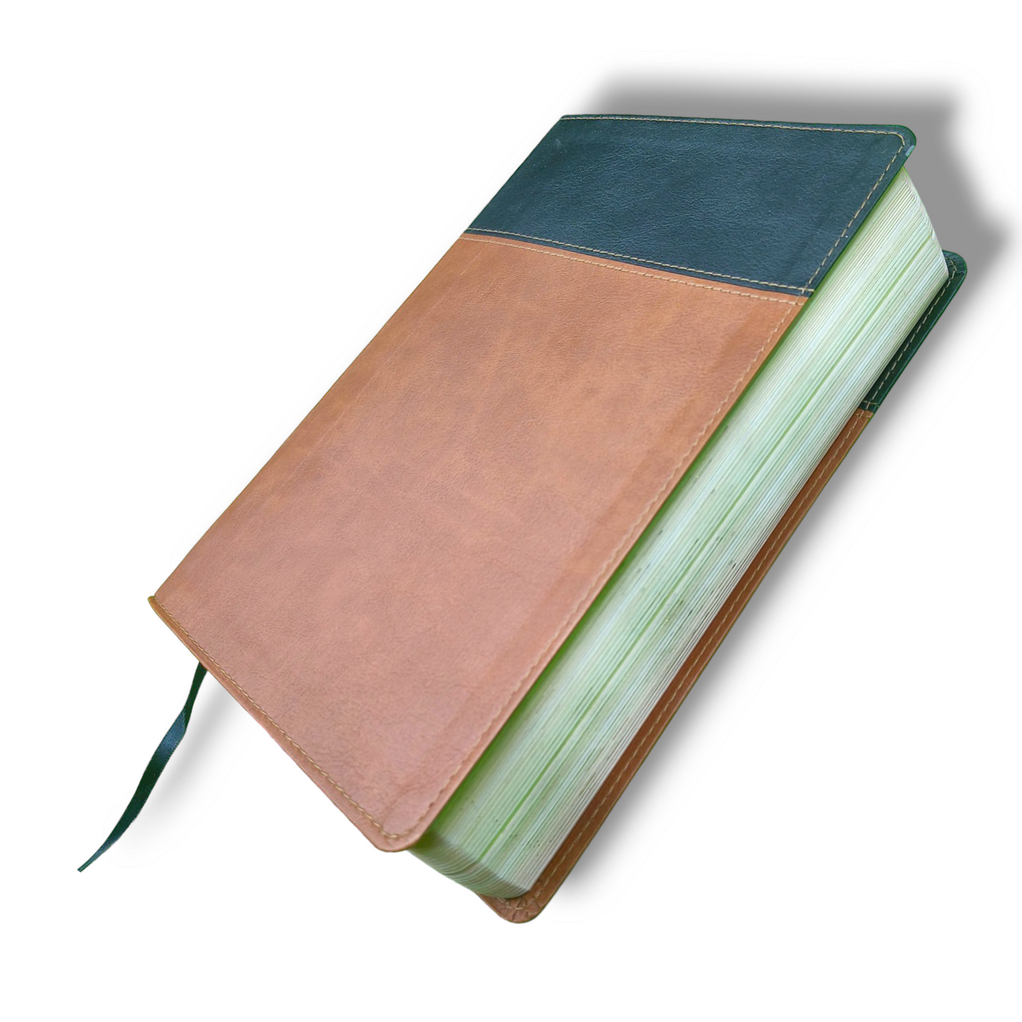 NIV Stewardship Study Bible | Discovery God's Design | Brown Leather Cover Edition: Explore Scripture with Depth and Clarity