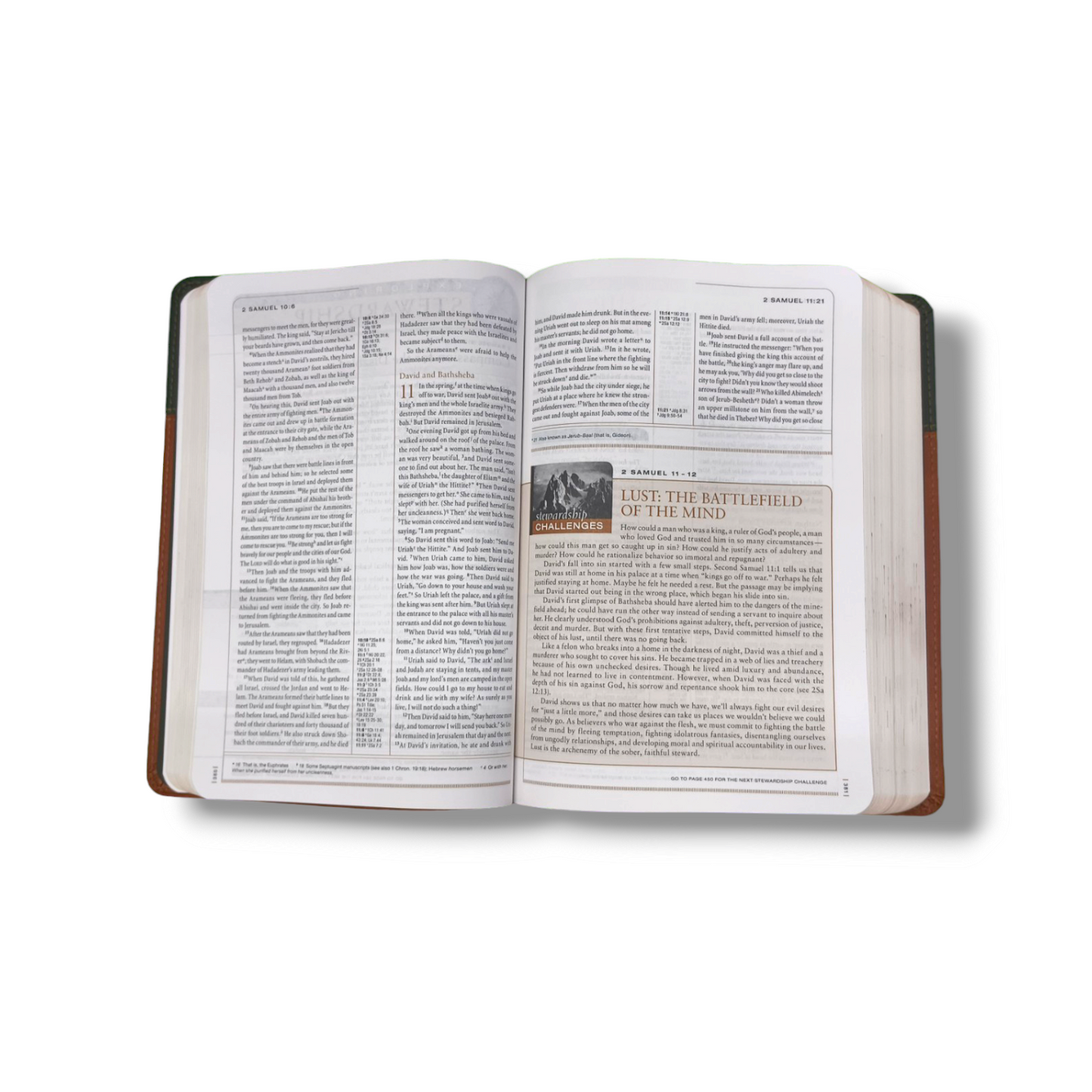 NIV Stewardship Study Bible | Discovery God's Design | Brown Leather Cover Edition: Explore Scripture with Depth and Clarity