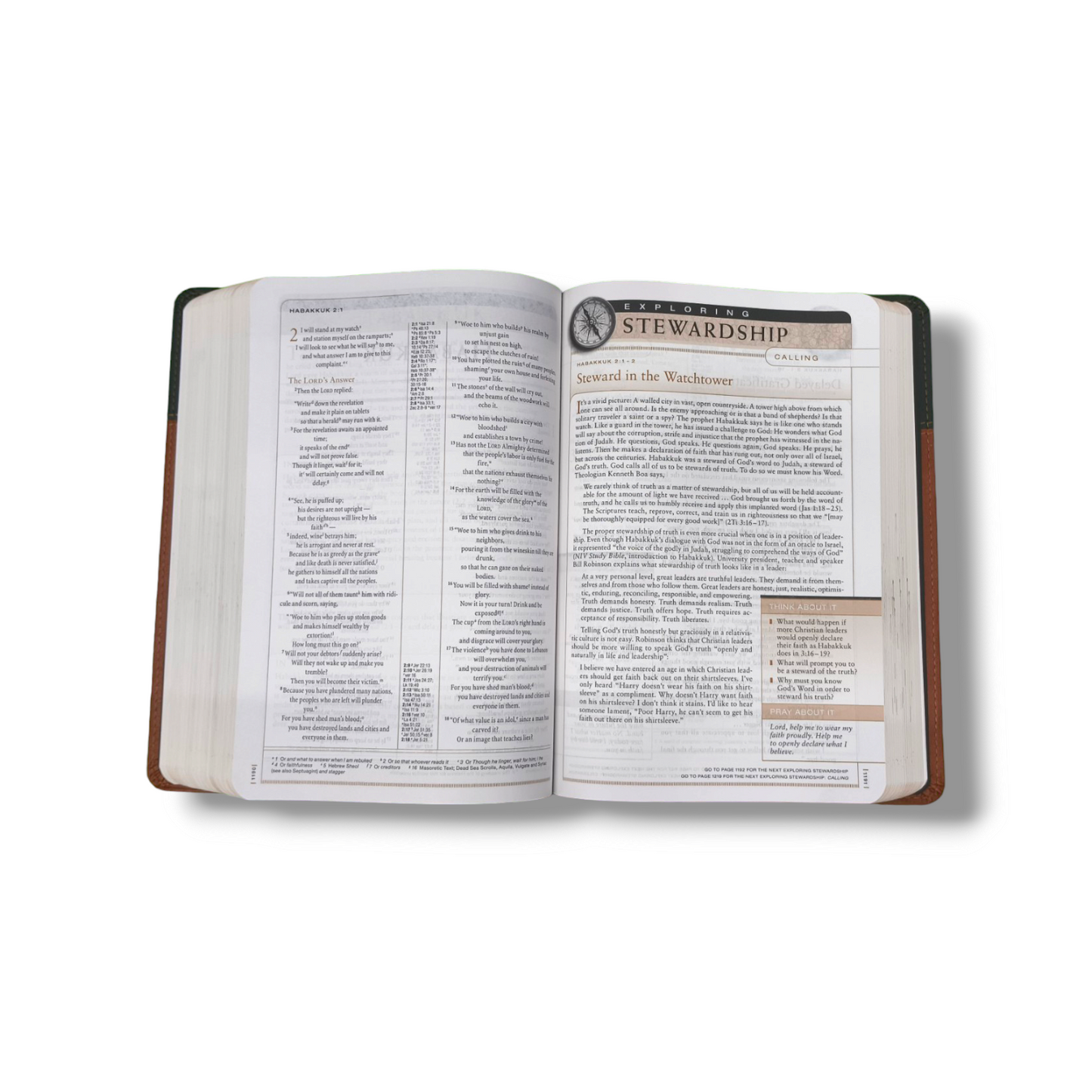 NIV Stewardship Study Bible | Discovery God's Design | Brown Leather Cover Edition: Explore Scripture with Depth and Clarity