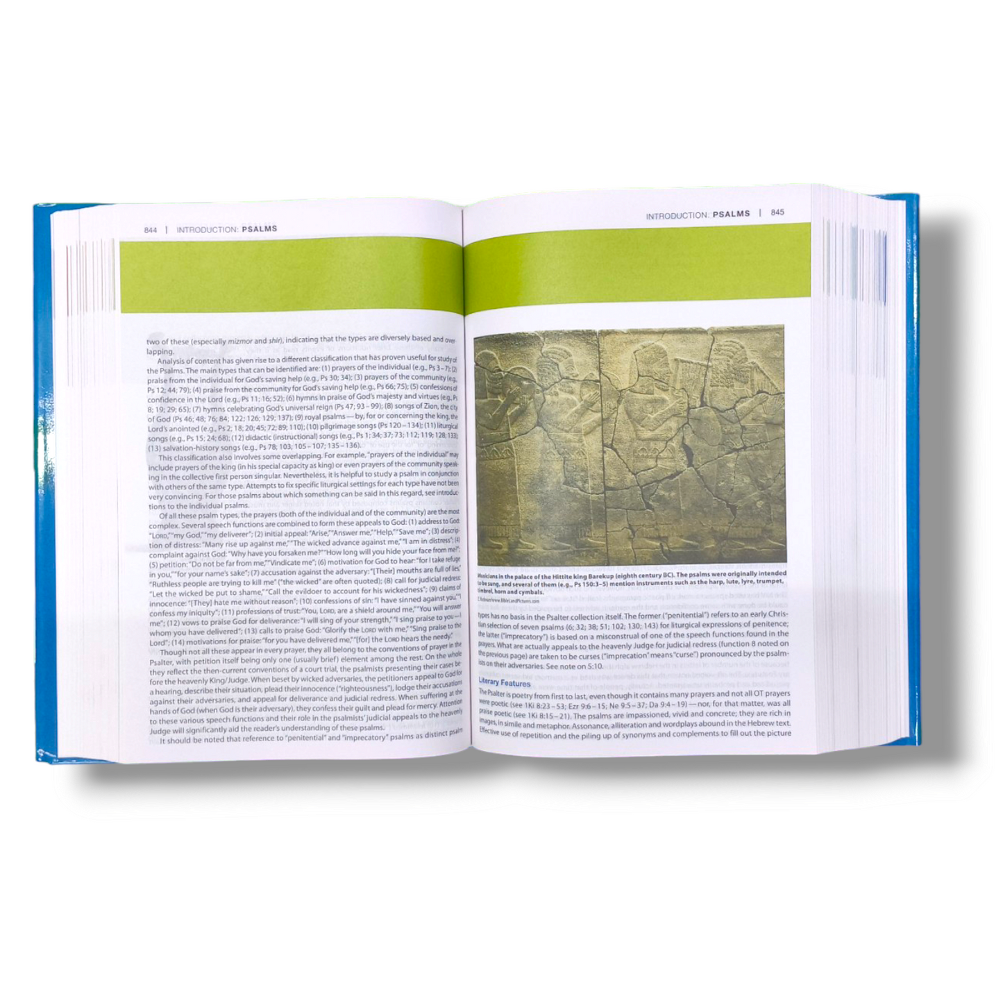 NIV Study Bible | Hard Bound Edition | Large Print | With Related Picture's | New Edition