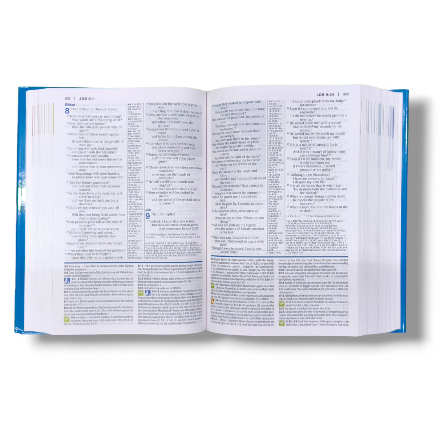 NIV Study Bible | Hard Bound Edition | Large Print | With Related Picture's | New Edition