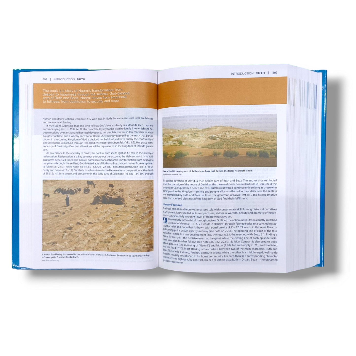 NIV Study Bible | Hard Bound Edition | Large Print | With Related Picture's | New Edition