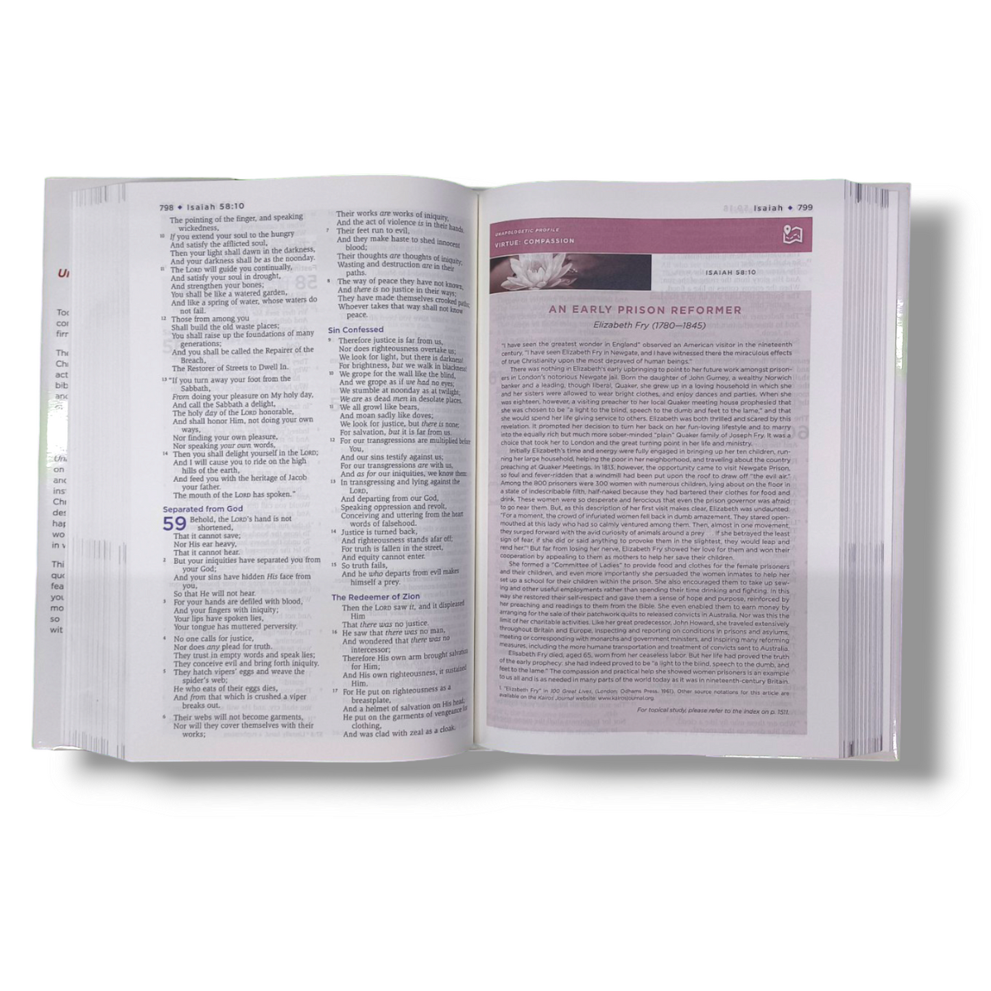 NKJV Unapologetic Bible | Study Bible Hardcover Edition | Red Letter Edition | New Edition